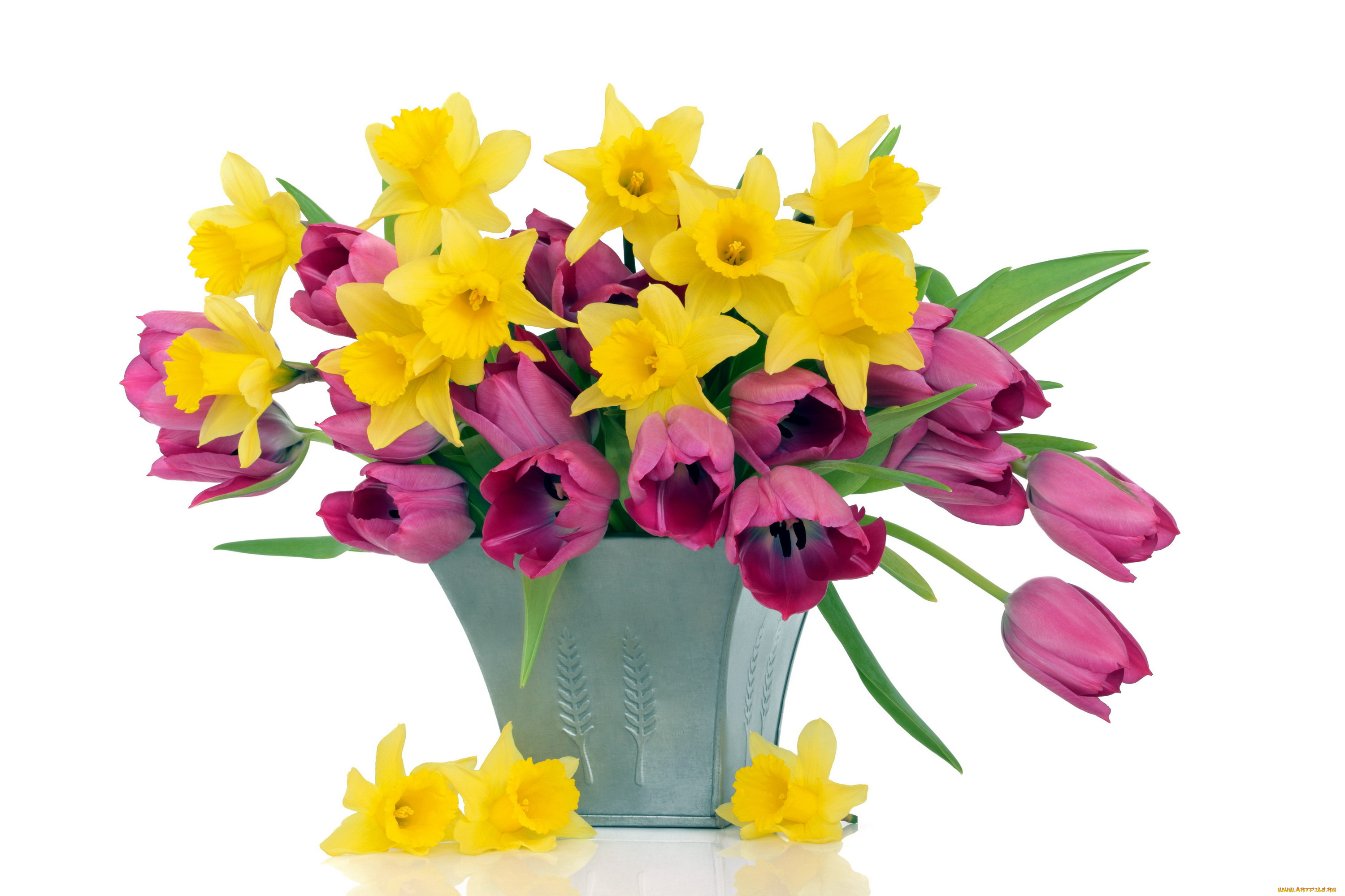 цветы, разные, вместе, тюльпаны, нарциссы