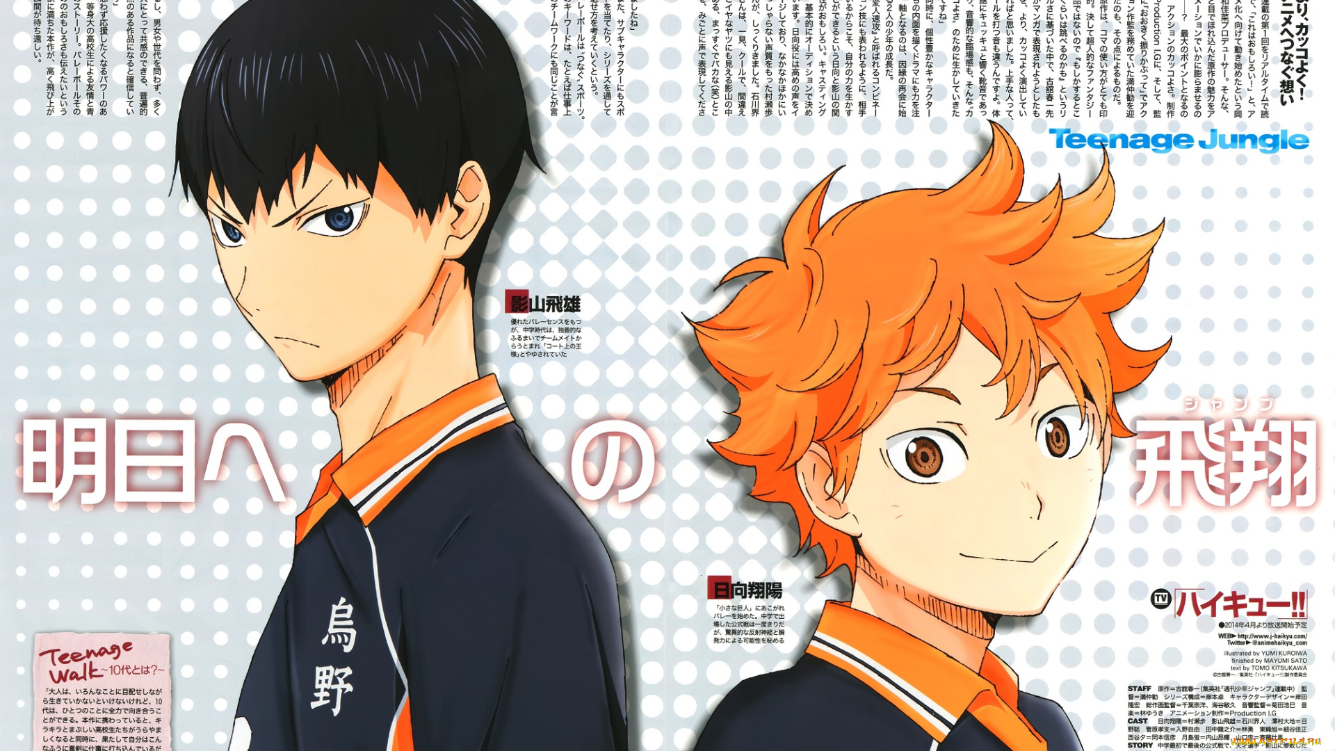 аниме, haikyuu, волейбол