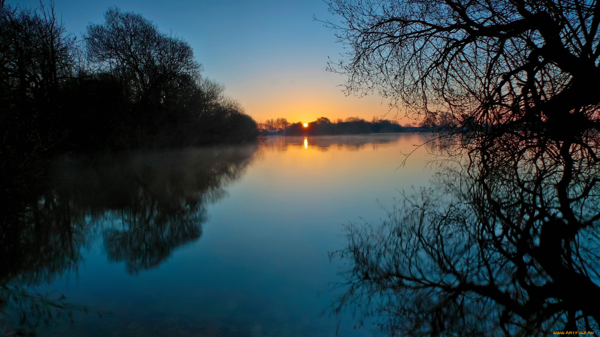 природа, реки, озера, деревья, туман, восход, солнце, озеро