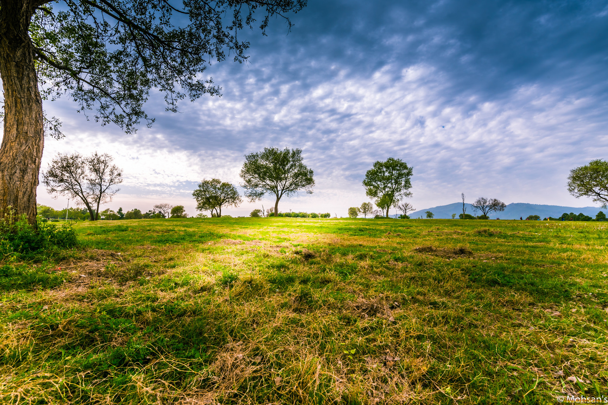 природа, пейзажи, облака, лужайка