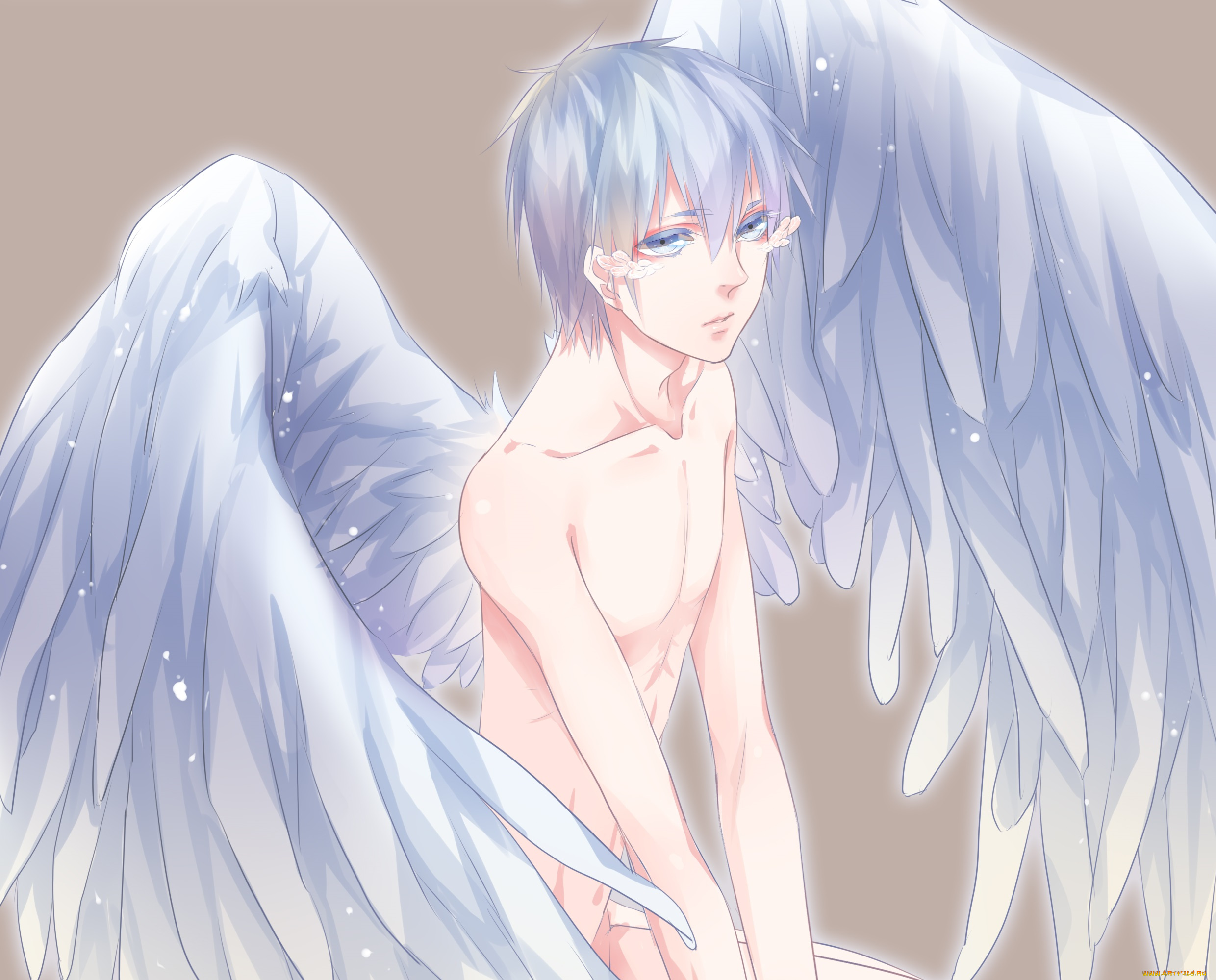 аниме, kuroko, no, baske, баскетбол, куроко, парень, арт, ангел