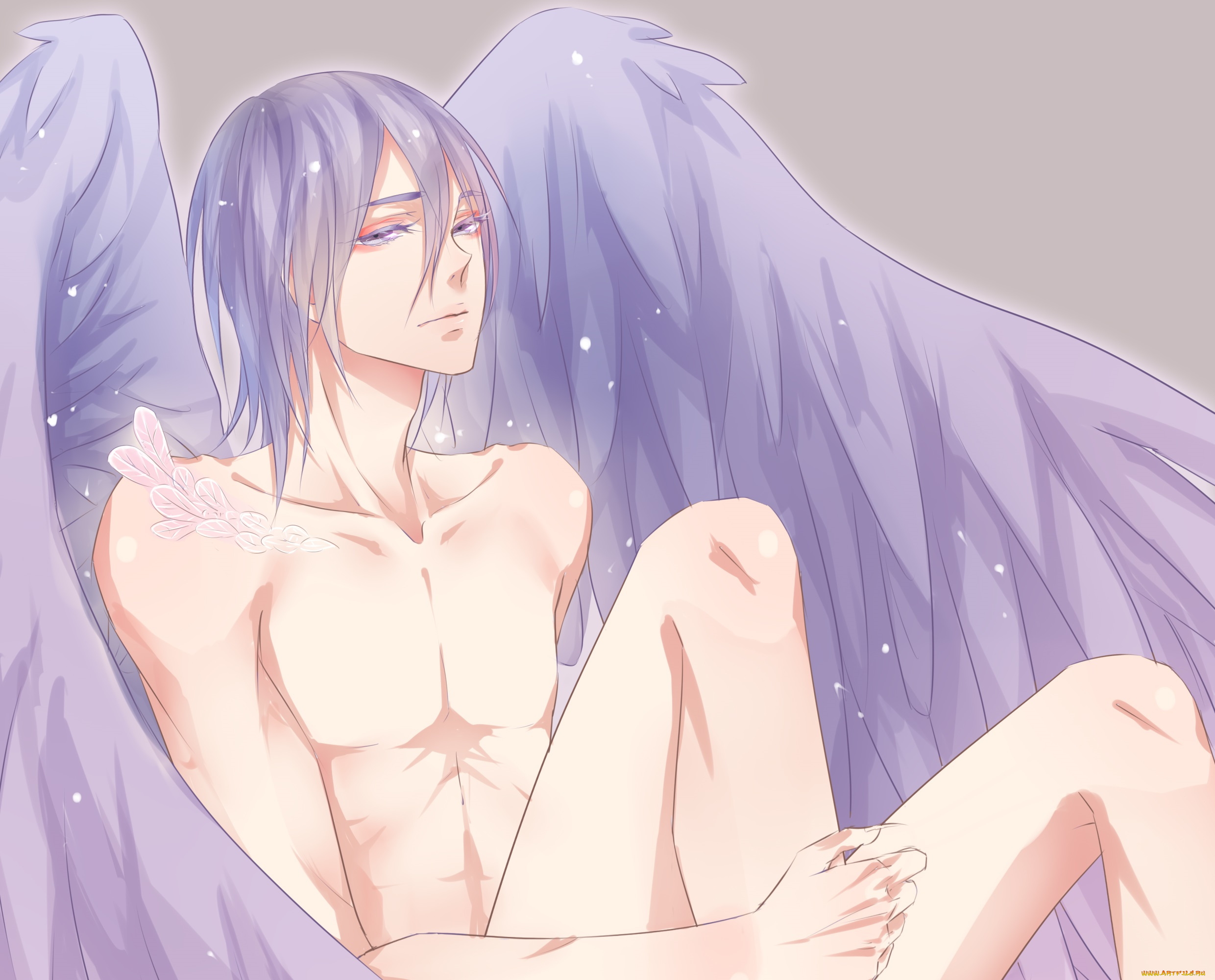 аниме, kuroko, no, baske, баскетбол, куроко, парень, арт, ангел