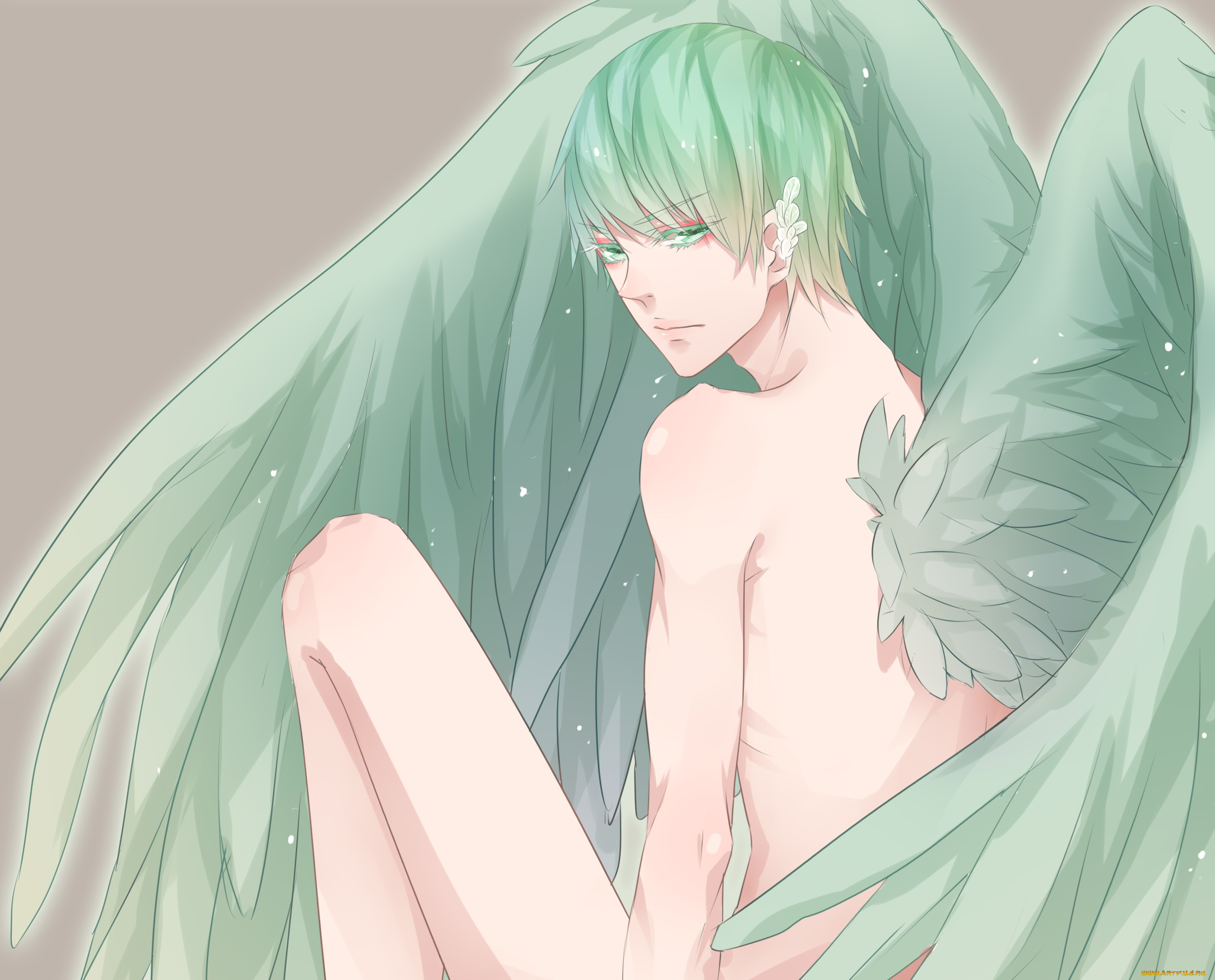 аниме, kuroko, no, baske, баскетбол, куроко, парень, арт, ангел