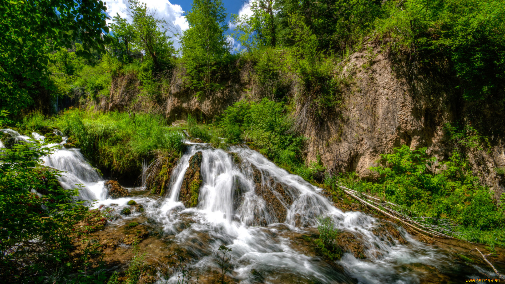 природа, водопады, лес, водопад, река