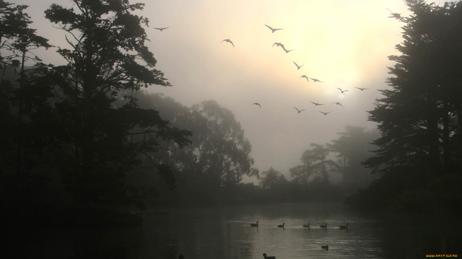 3д, графика, природа, , nature, туман, утро, деревья, птицы, озеро