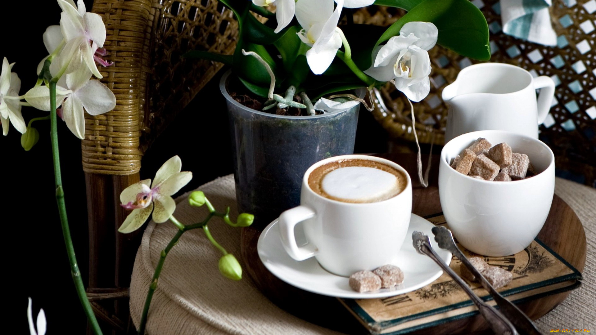 еда, кофе, , кофейные, зёрна, напиток, сахар, капучино