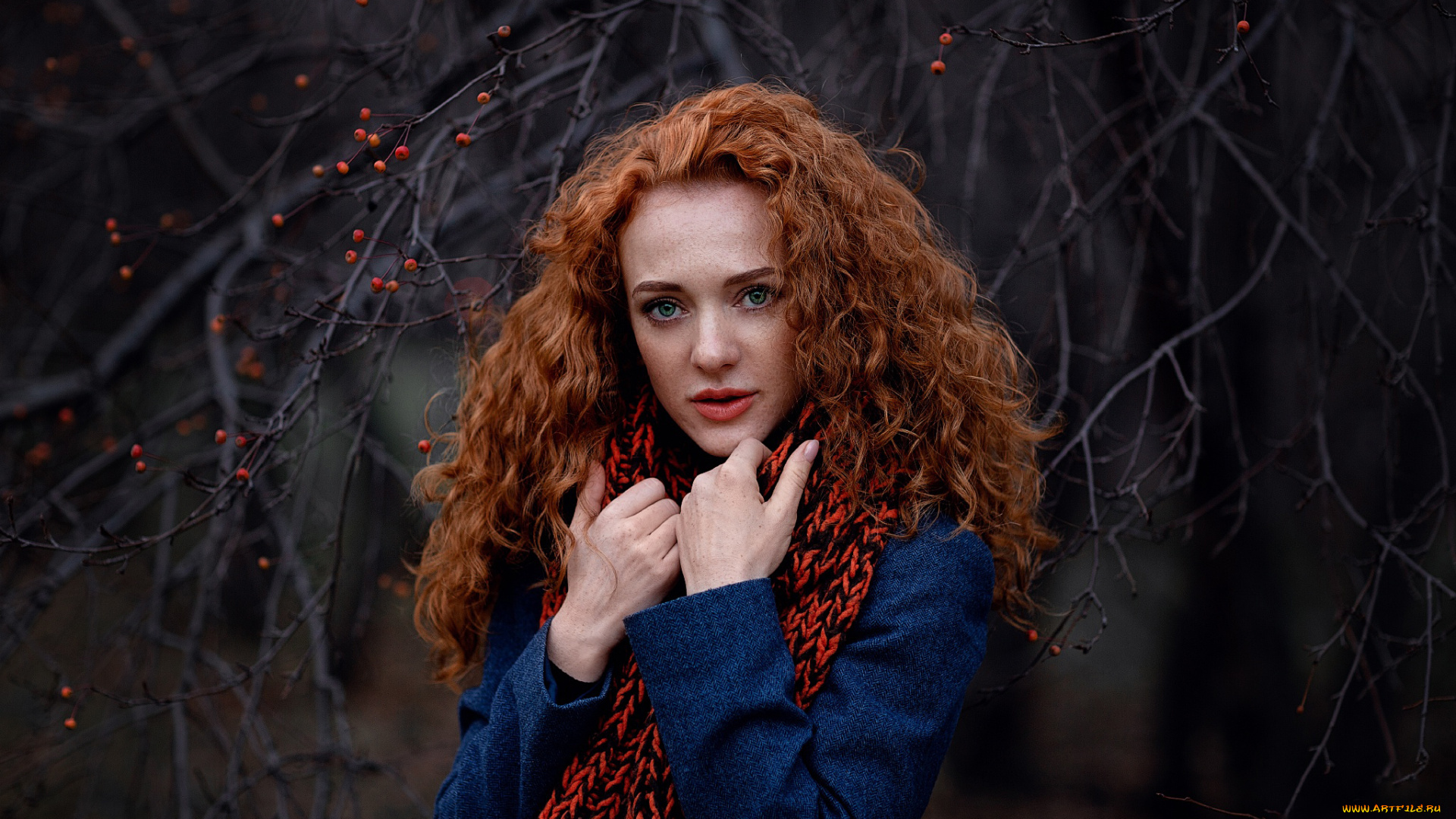 девушка, девушки, -unsort, , рыжеволосые, и, другие, модель