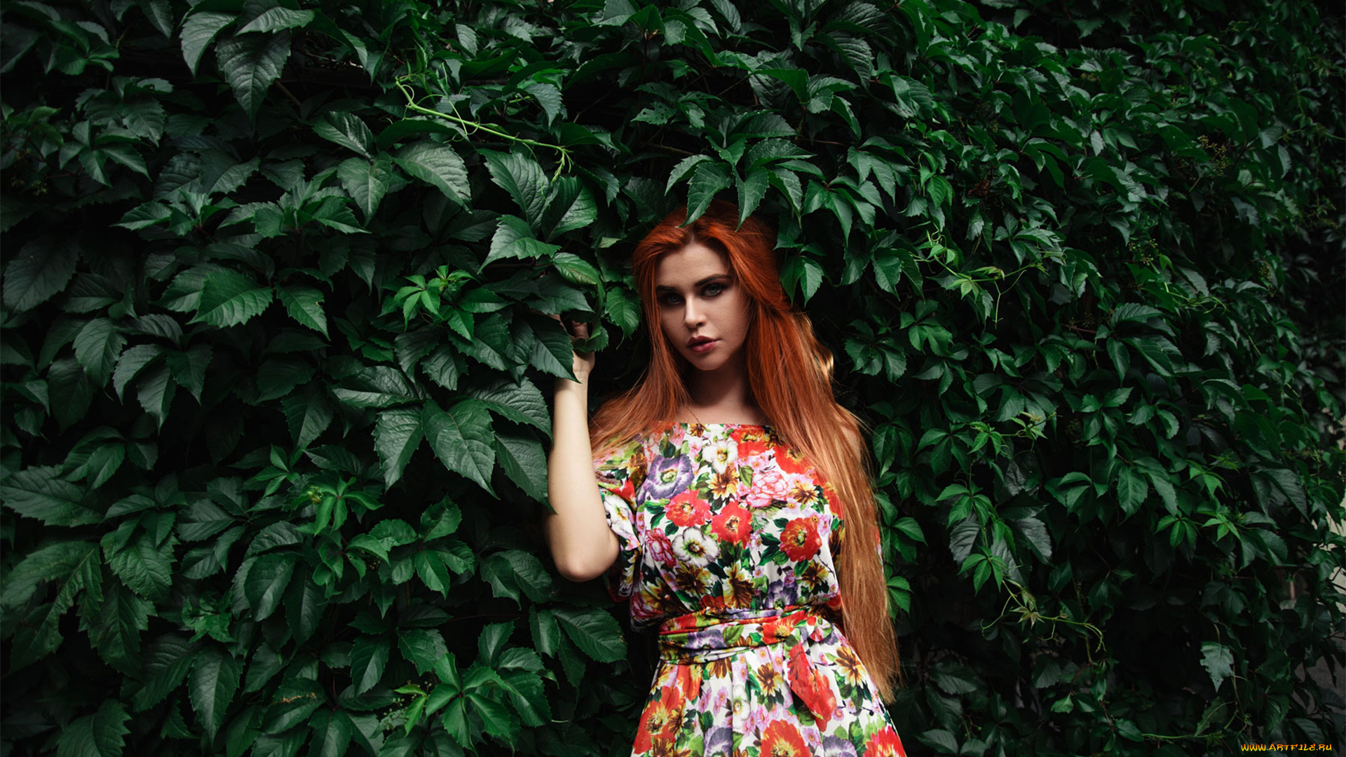 девушка, девушки, dana, bounty, модель