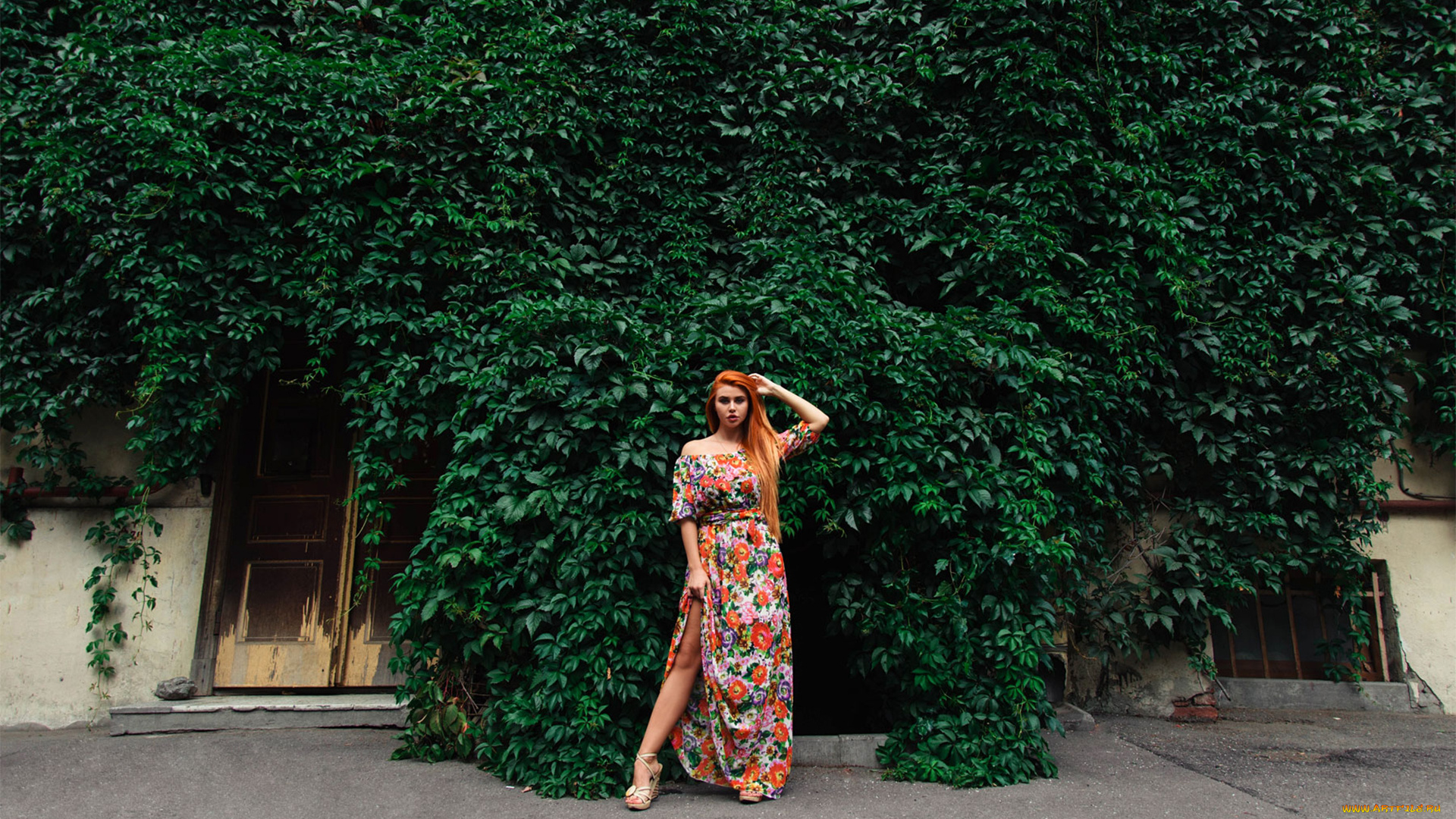 девушка, девушки, dana, bounty, модель