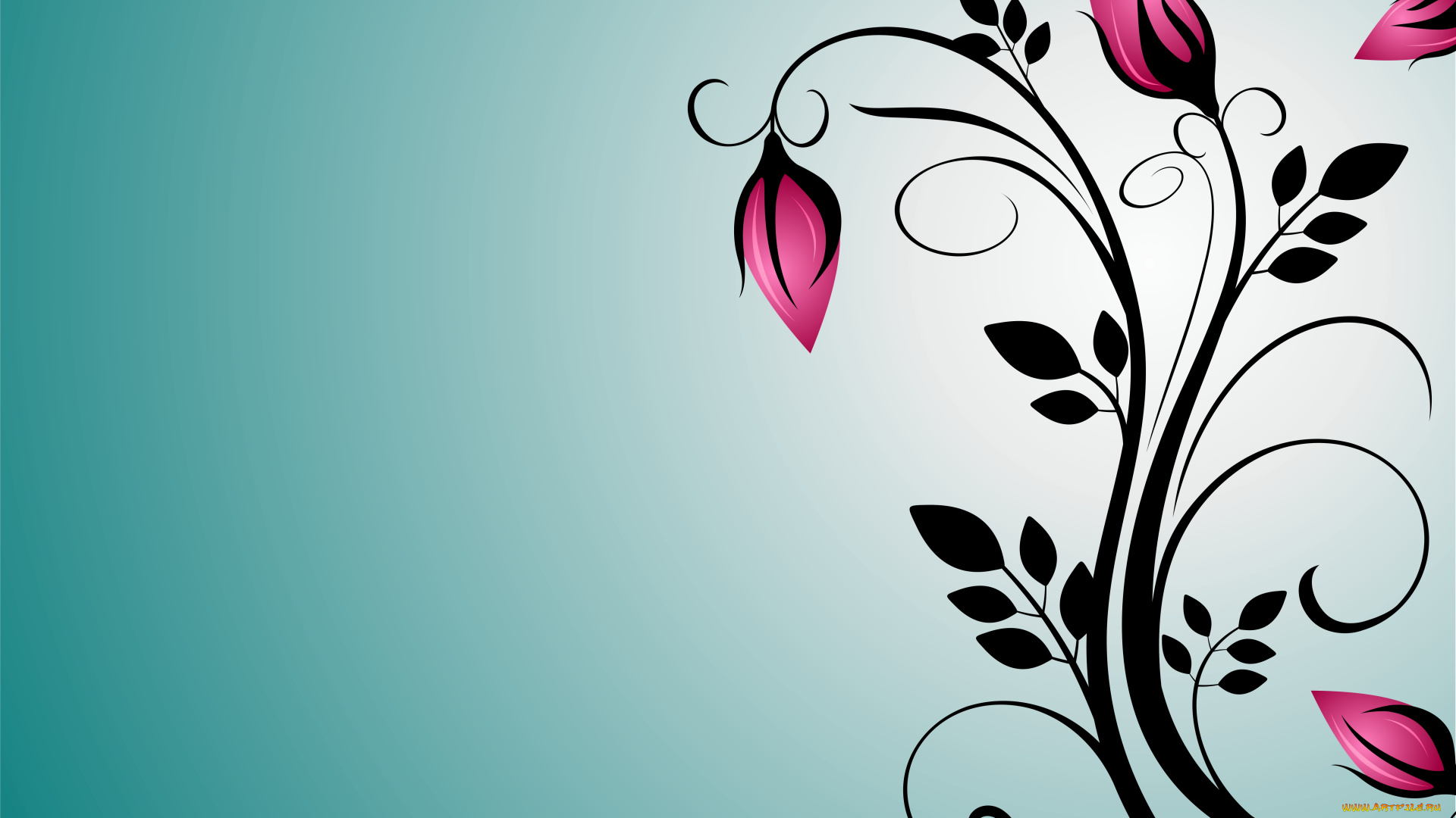 векторная, графика, цветы, , flowers, фон, цветы