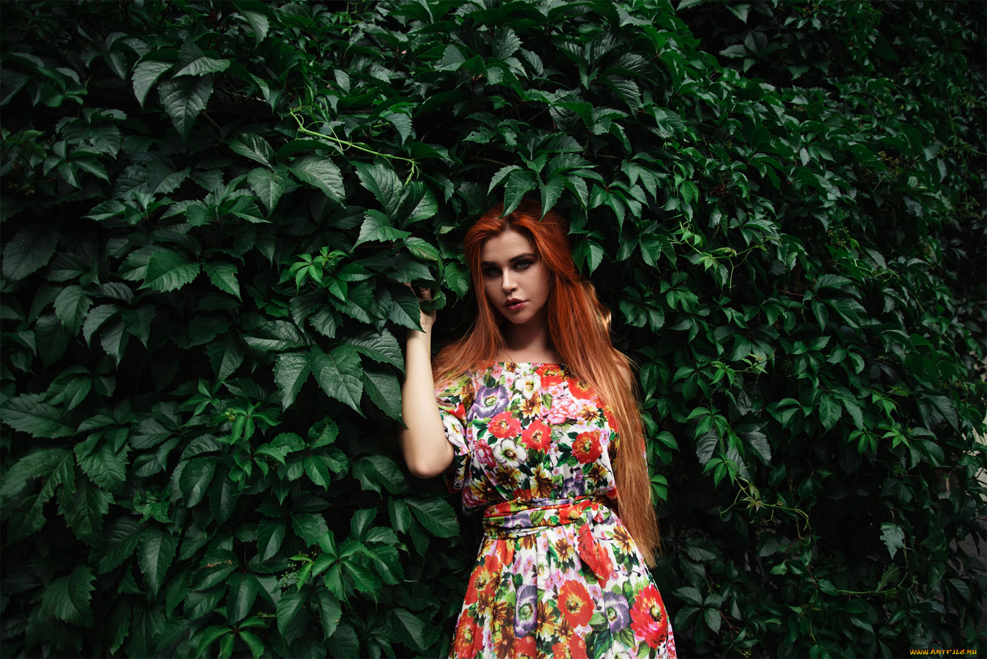 девушка, девушки, dana, bounty, модель