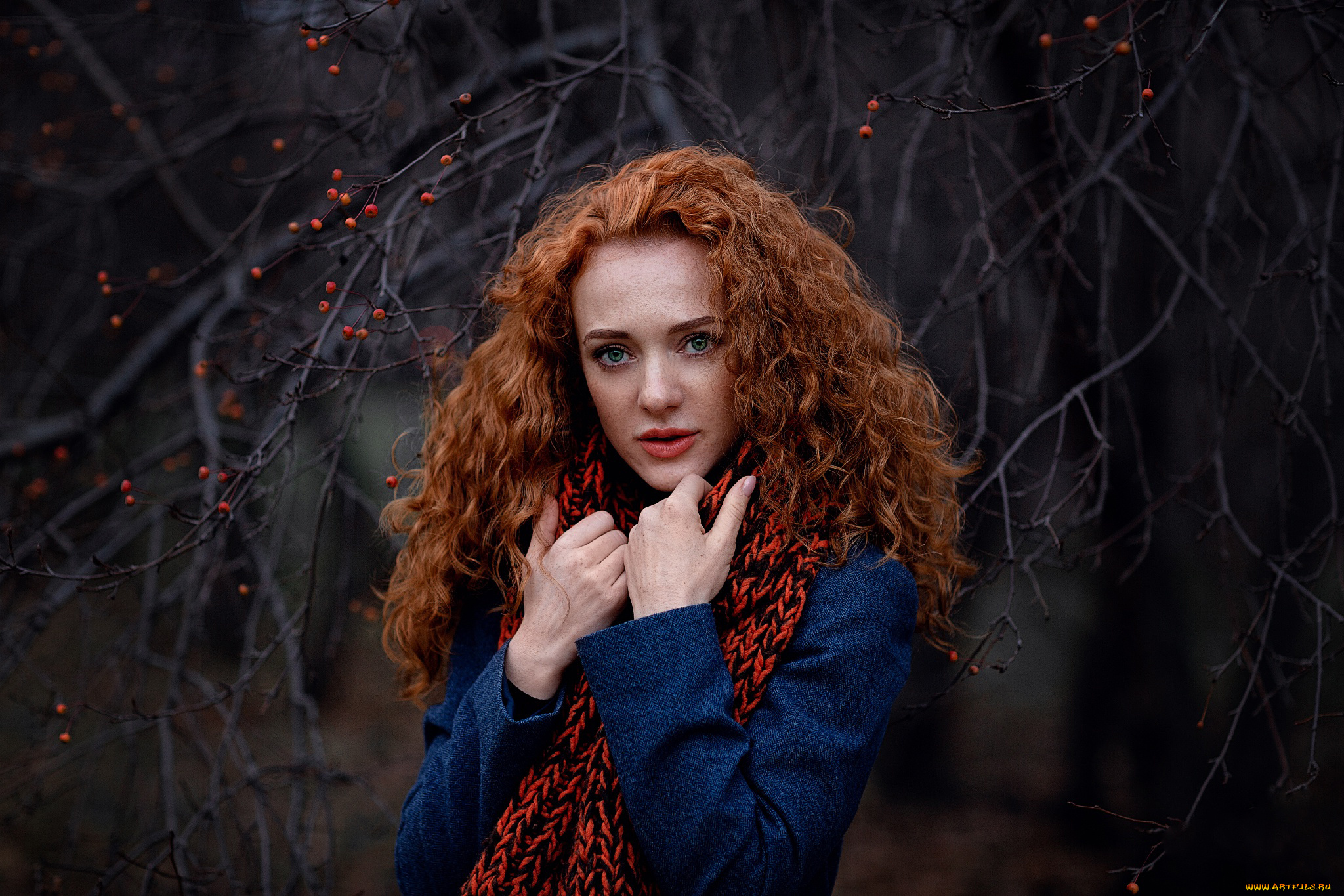 девушка, девушки, -unsort, , рыжеволосые, и, другие, модель