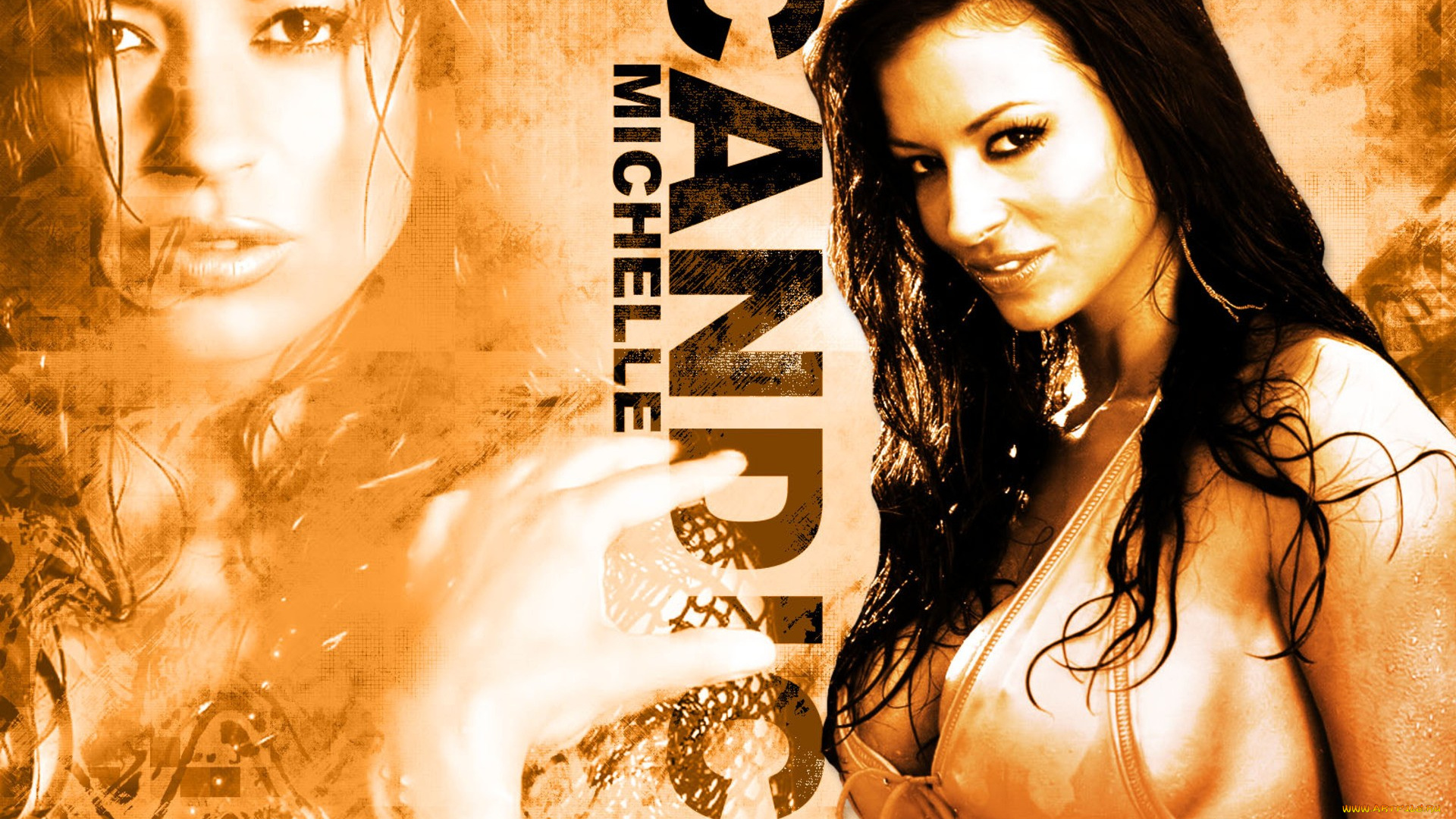 девушки, candice, michelle, брюнетка, купальник, лицо