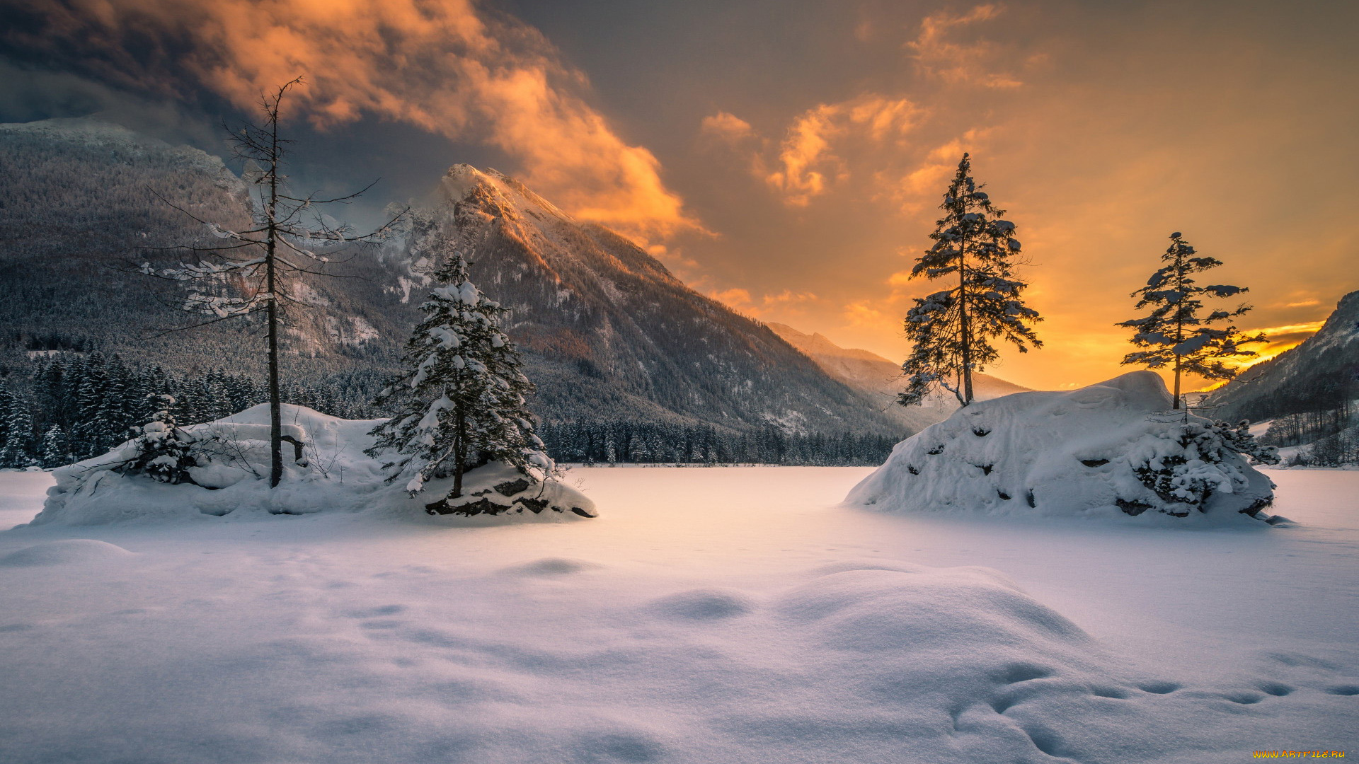 природа, зима, снег, сугробы