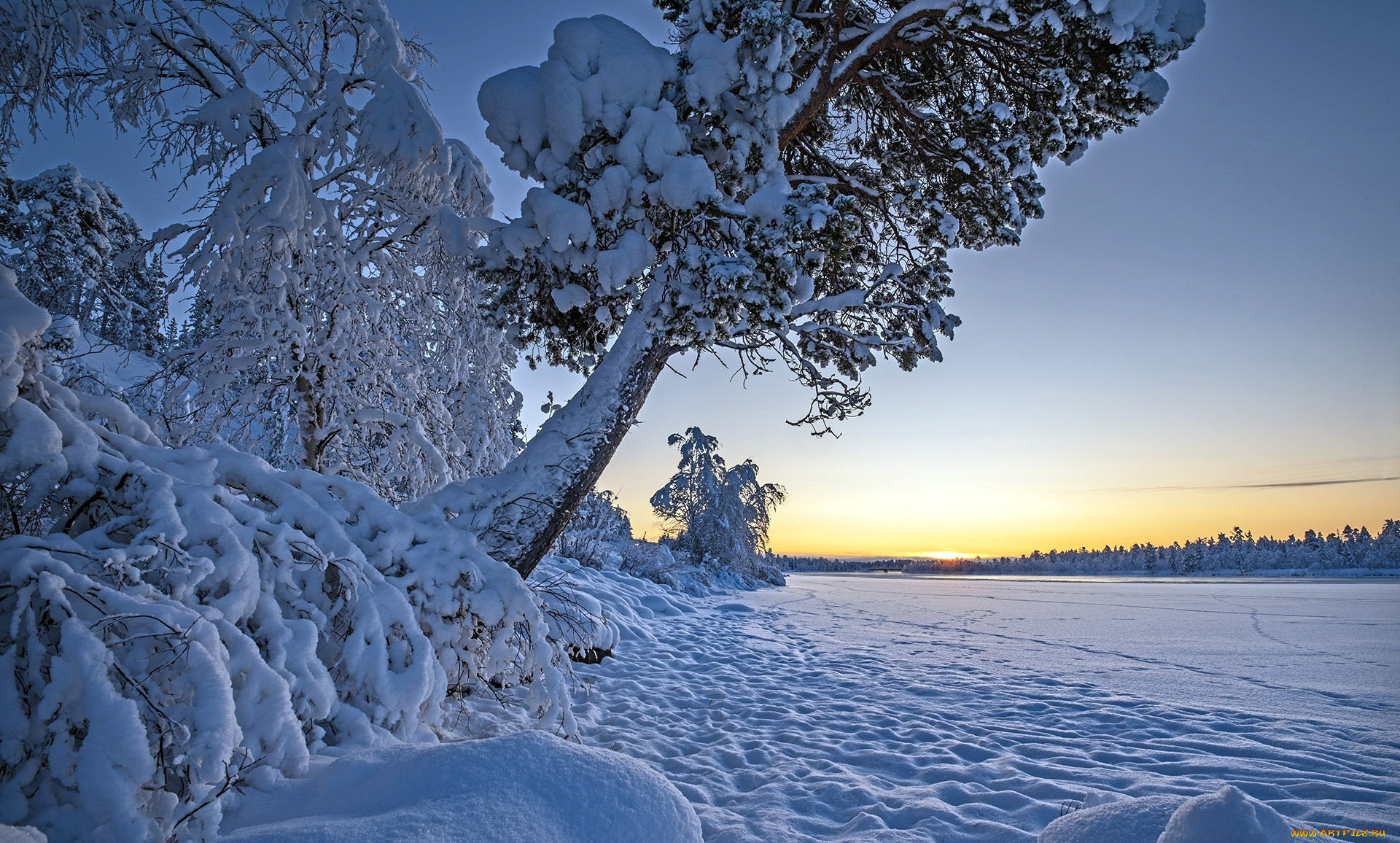 природа, зима, снег, сугробы