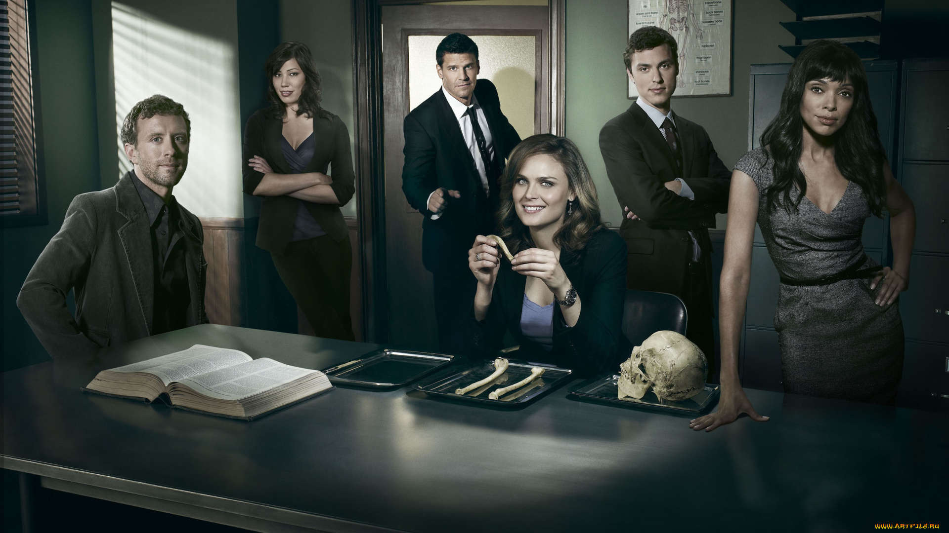 кино, фильмы, bones, персонажи, кости, стол, книга