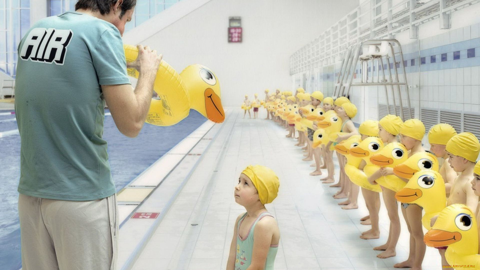 юмор, и, приколы, дети, утята, тренер, бассейн