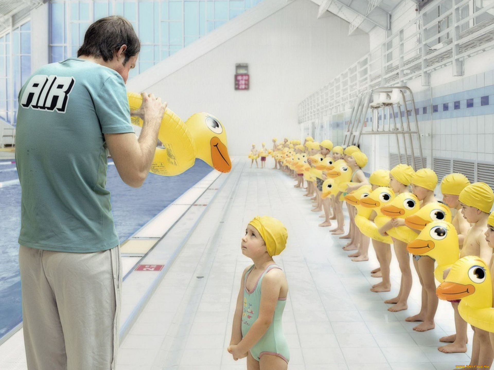 юмор, и, приколы, дети, утята, тренер, бассейн