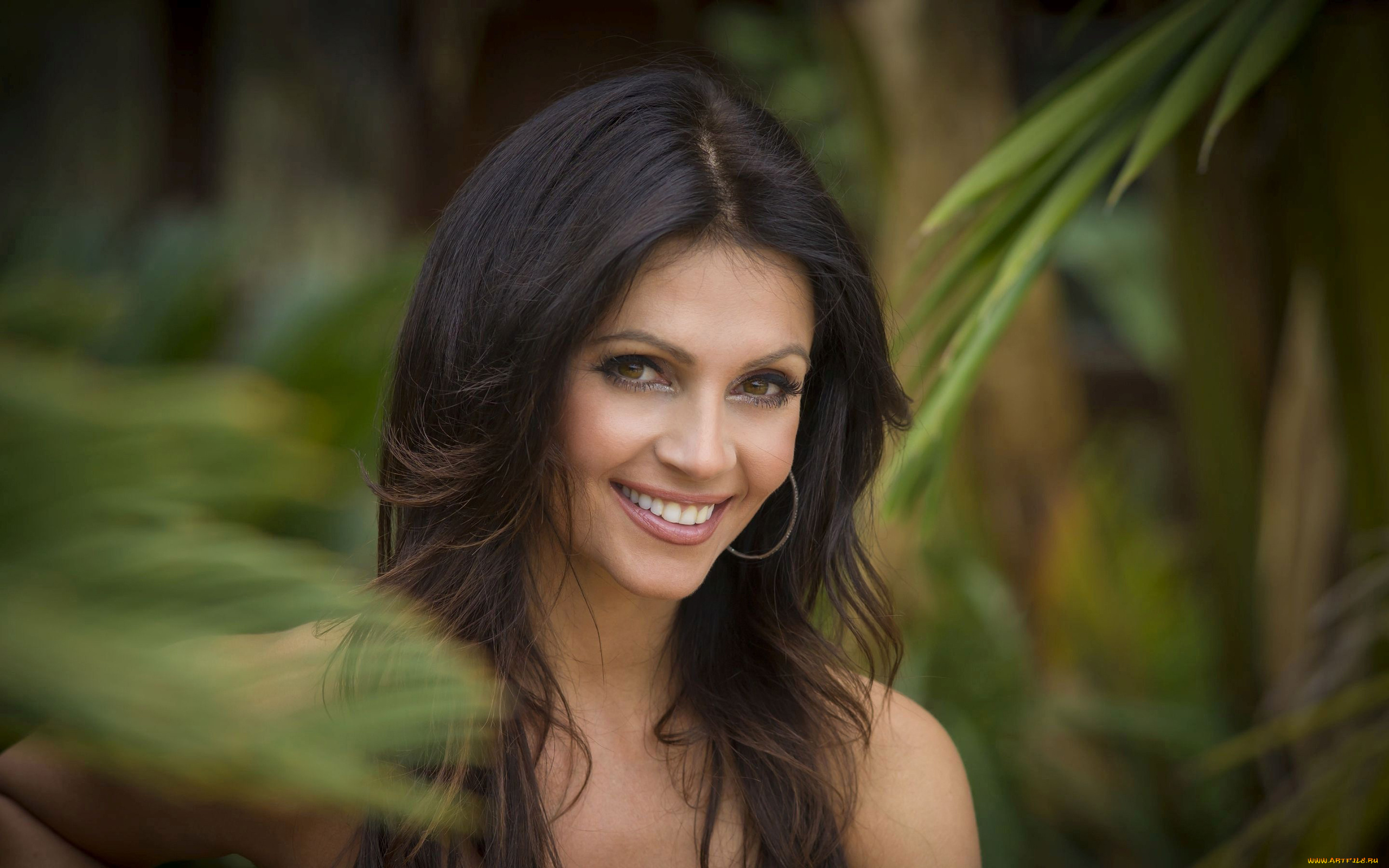 denise, milani, девушки, denise, milani, бюст, грудь, девушка, модель, брюнетка, поза, стройная, сексуальная, флирт