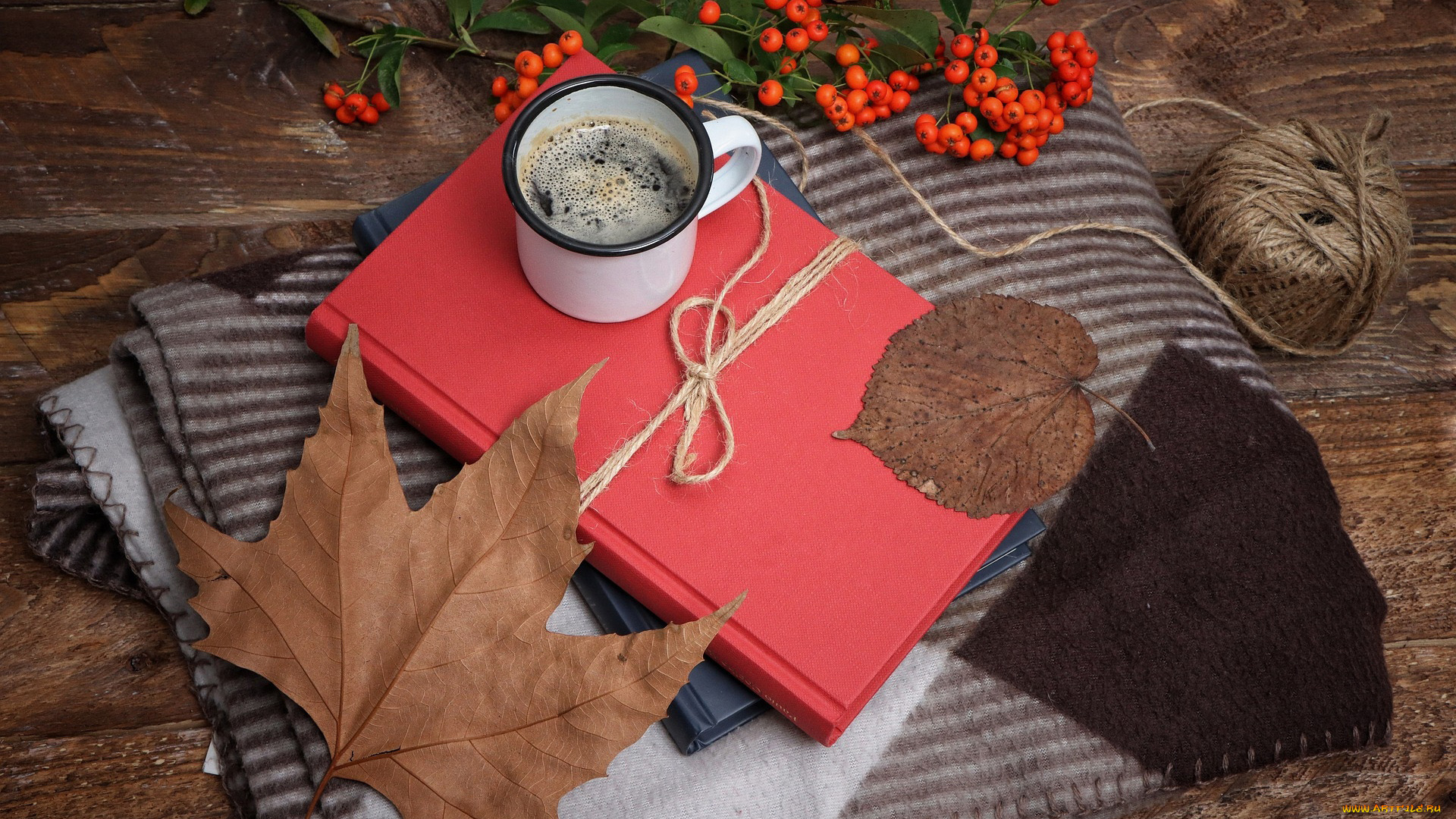 еда, кофе, , кофейные, зёрна, шпагат, рябина, листья, тетрадь