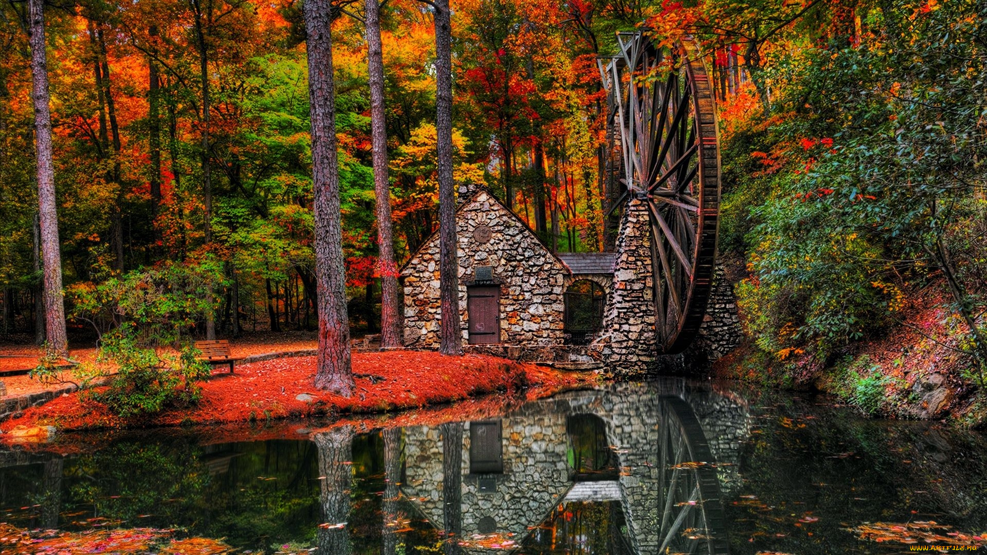 разное, мельницы, осень, мельница, пруд, отражение