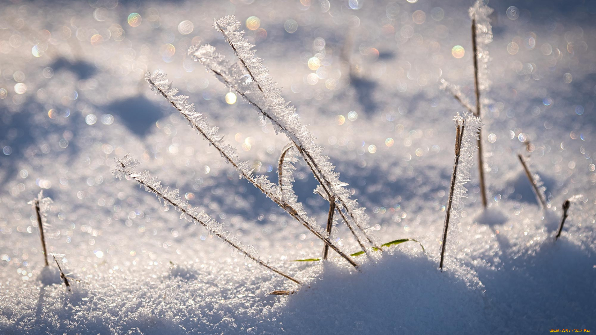 природа, зима