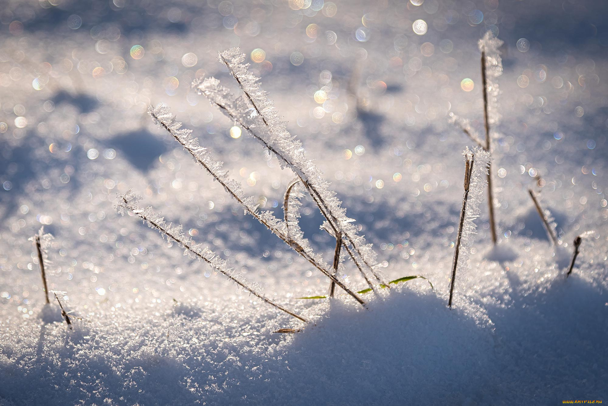 природа, зима