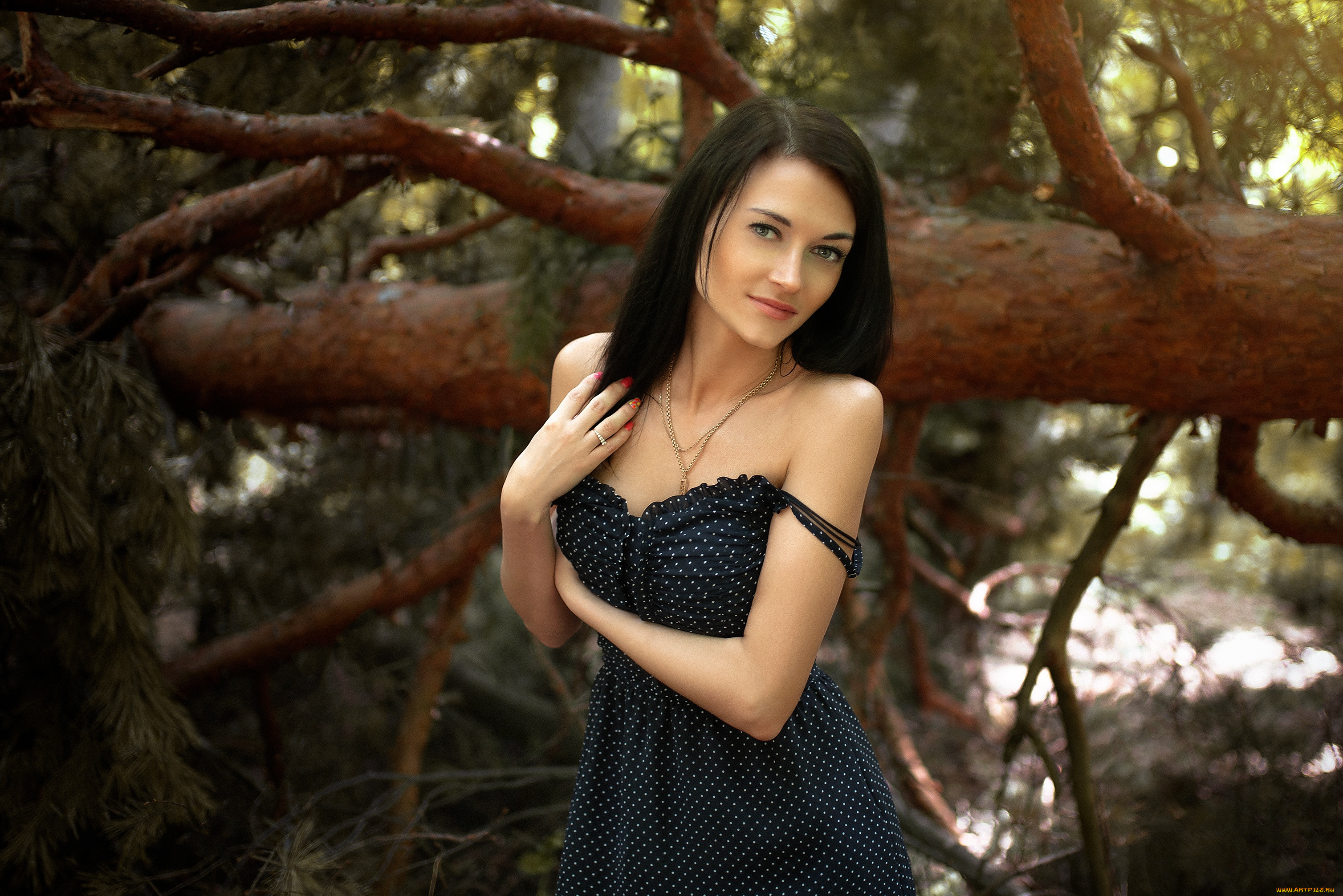 девушки, -, брюнетки, , шатенки, девушка, позирует, станислав, максимов