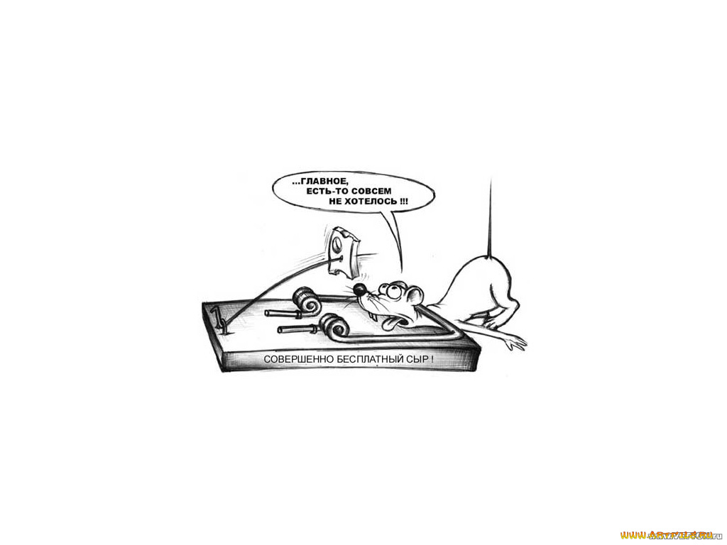 мышеловка, юмор, приколы