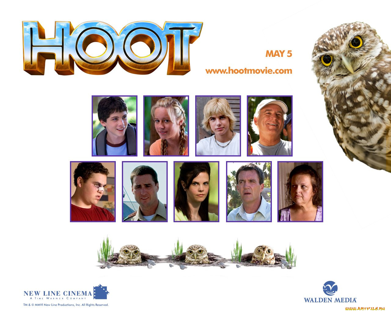 кино, фильмы, hoot