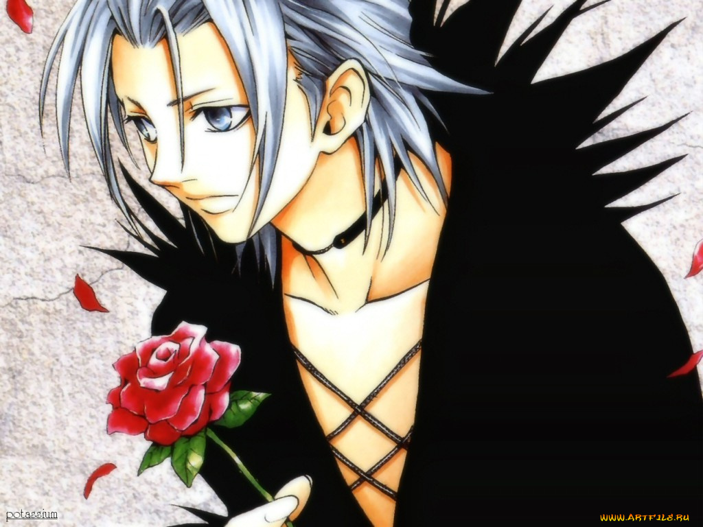 аниме, black, cat