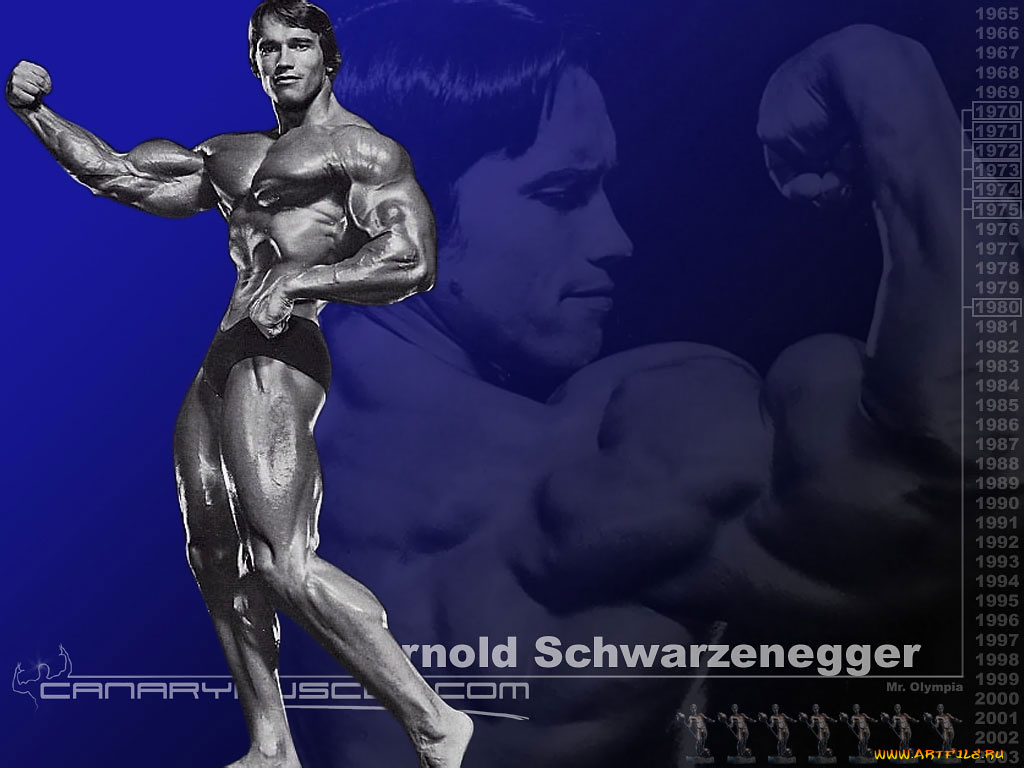 спорт, body, building