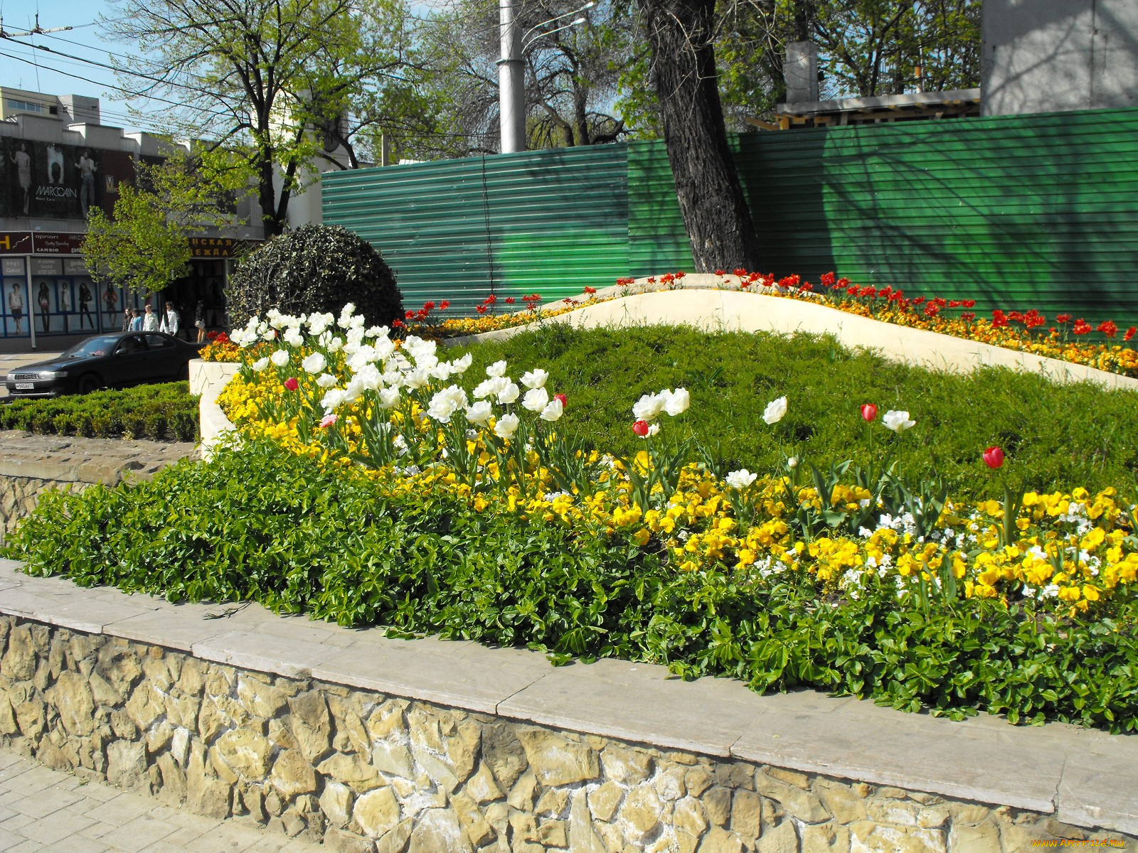 цветы, разные, вместе