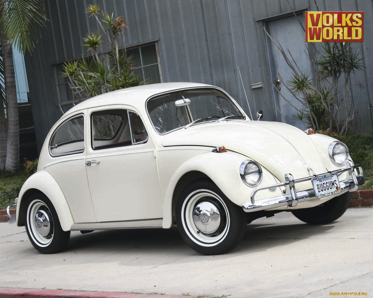 автомобили, volkswagen