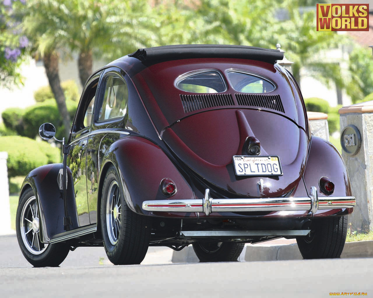 автомобили, volkswagen