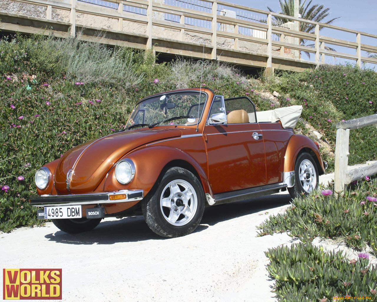 автомобили, volkswagen