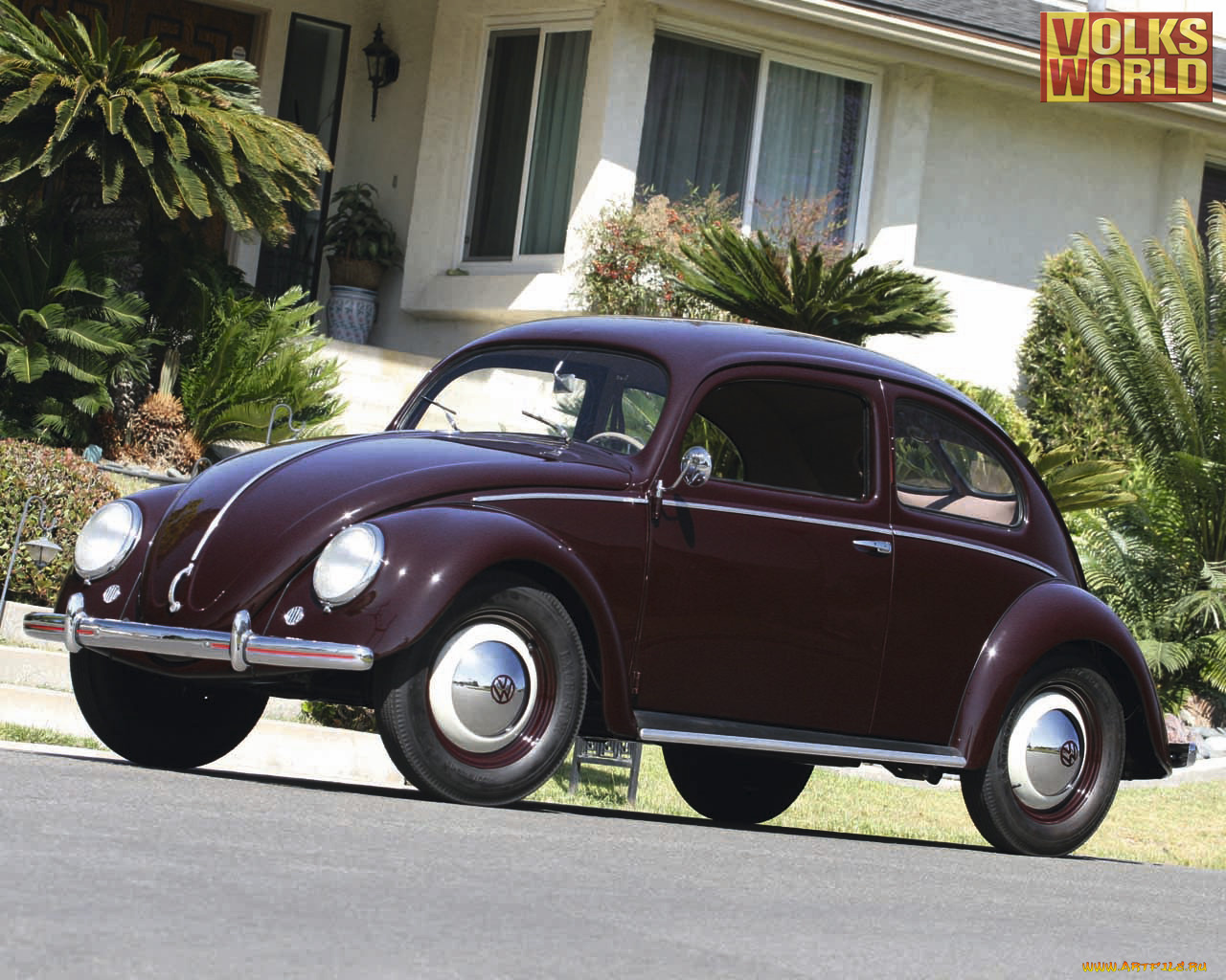 автомобили, volkswagen