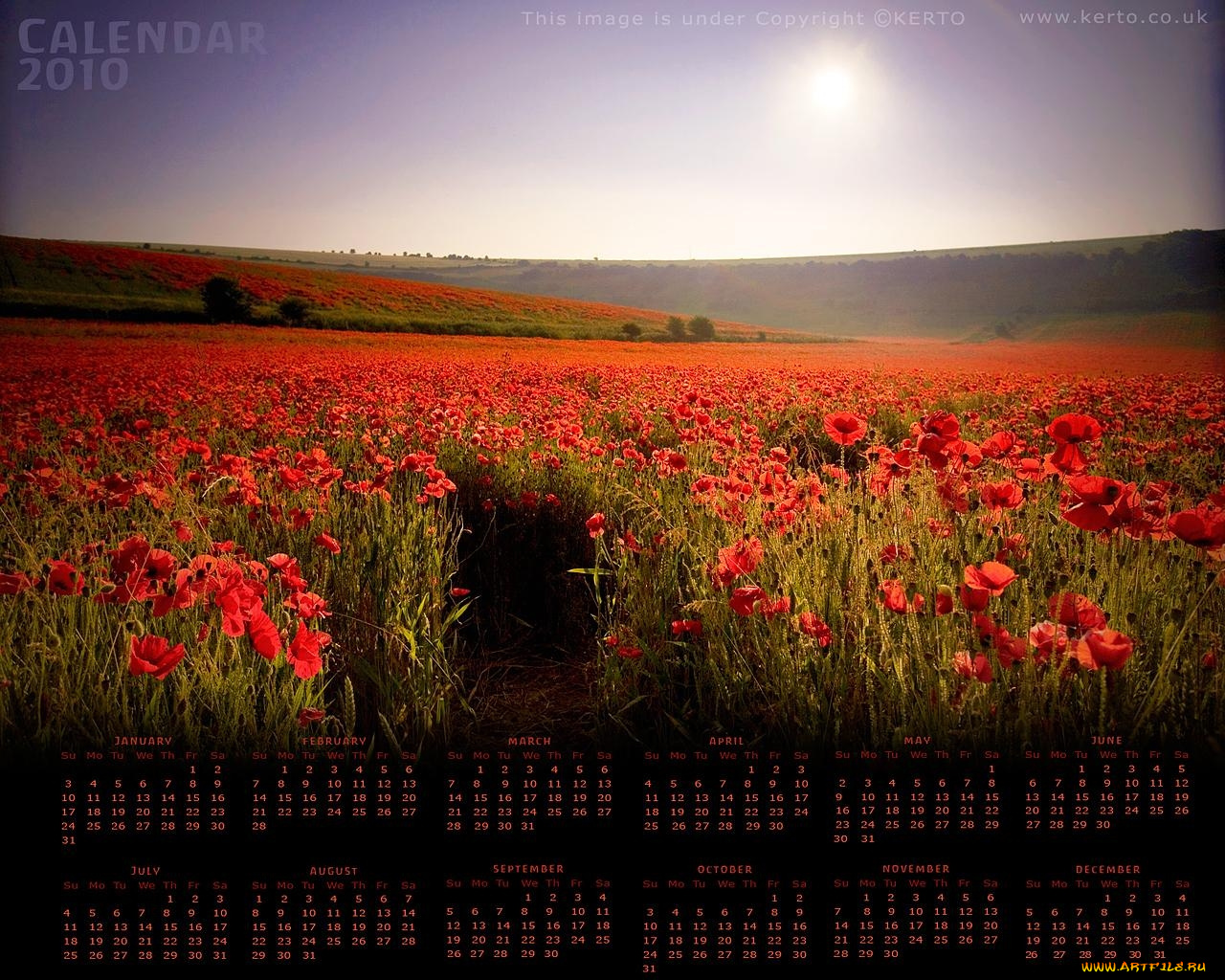 календари, цветы