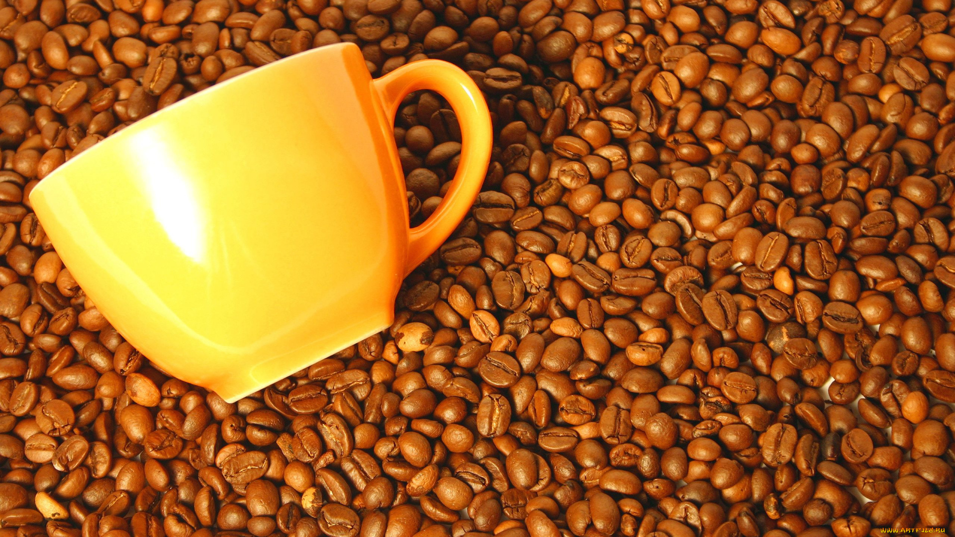 еда, кофе, кофейные, зёрна