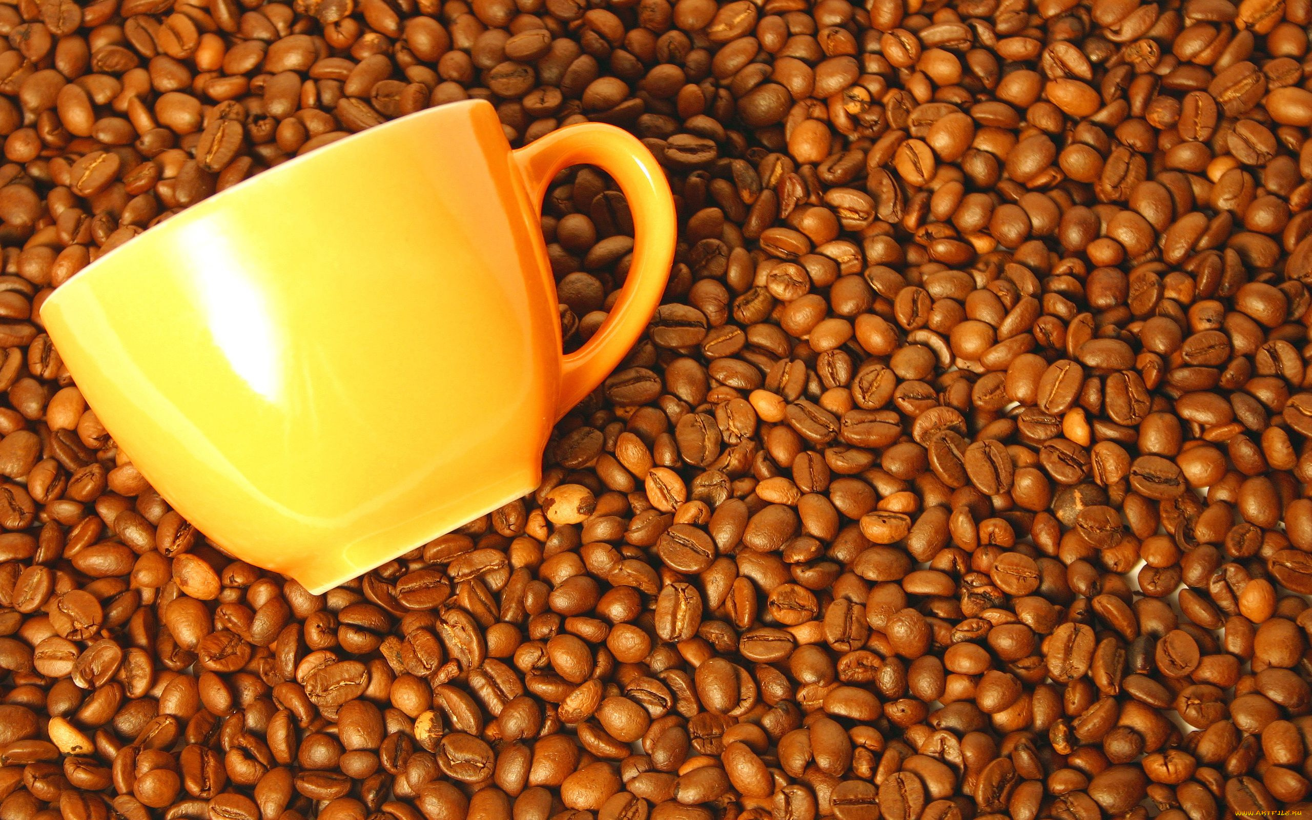 еда, кофе, кофейные, зёрна