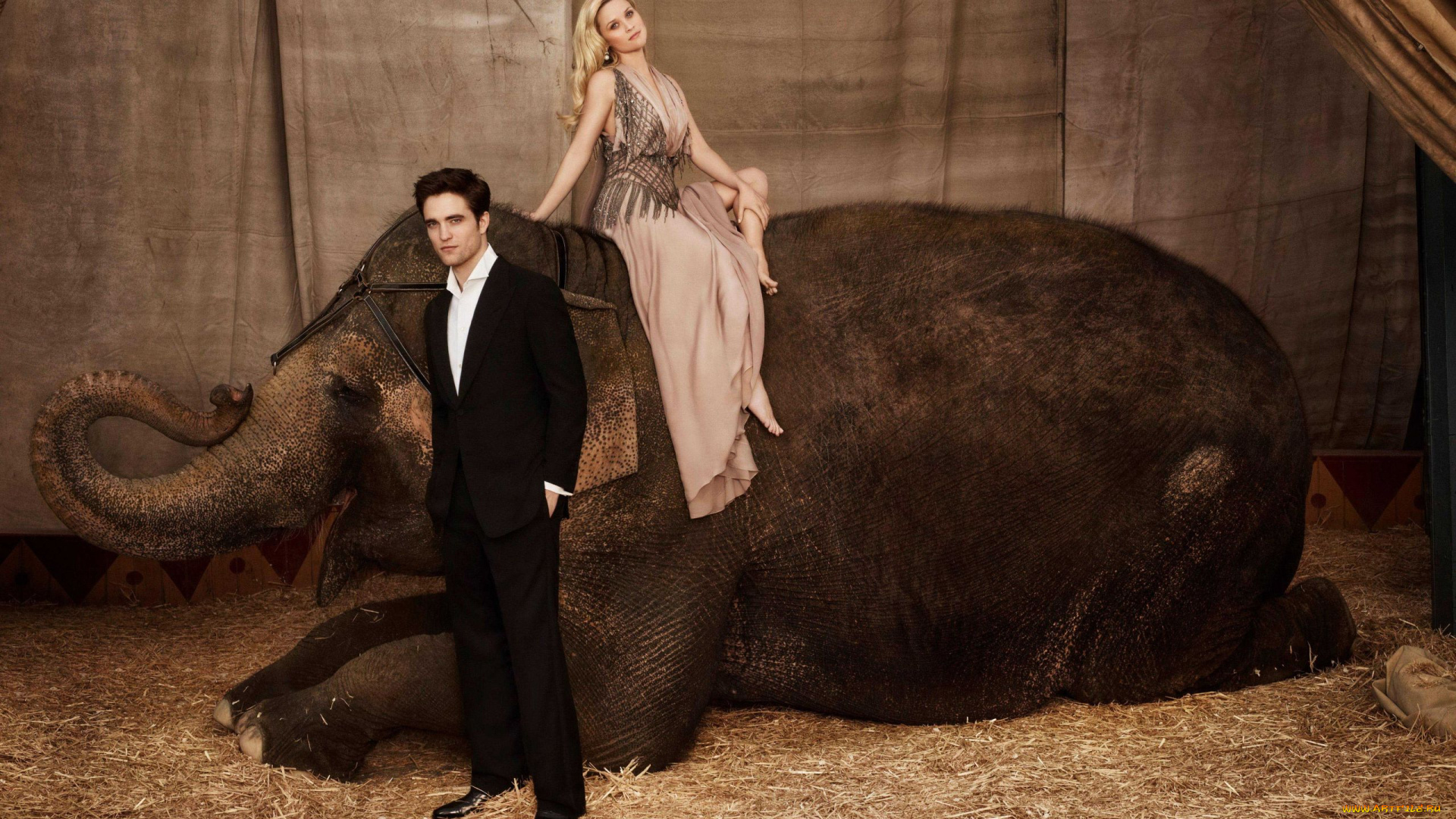 water, for, elephants, кино, фильмы