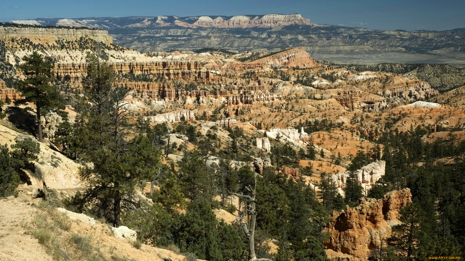 природа, горы, bryce, canyon, national, park, usa, utah