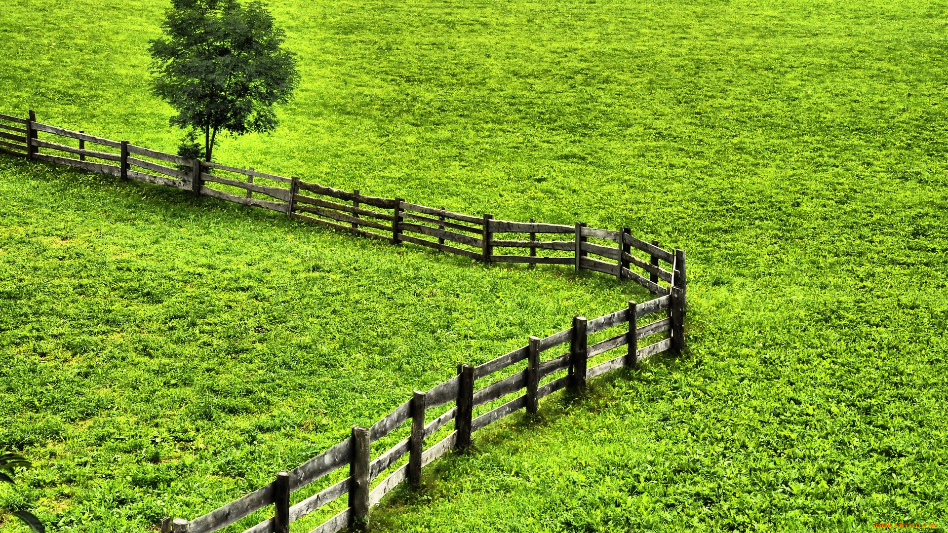 природа, луга, изгородь