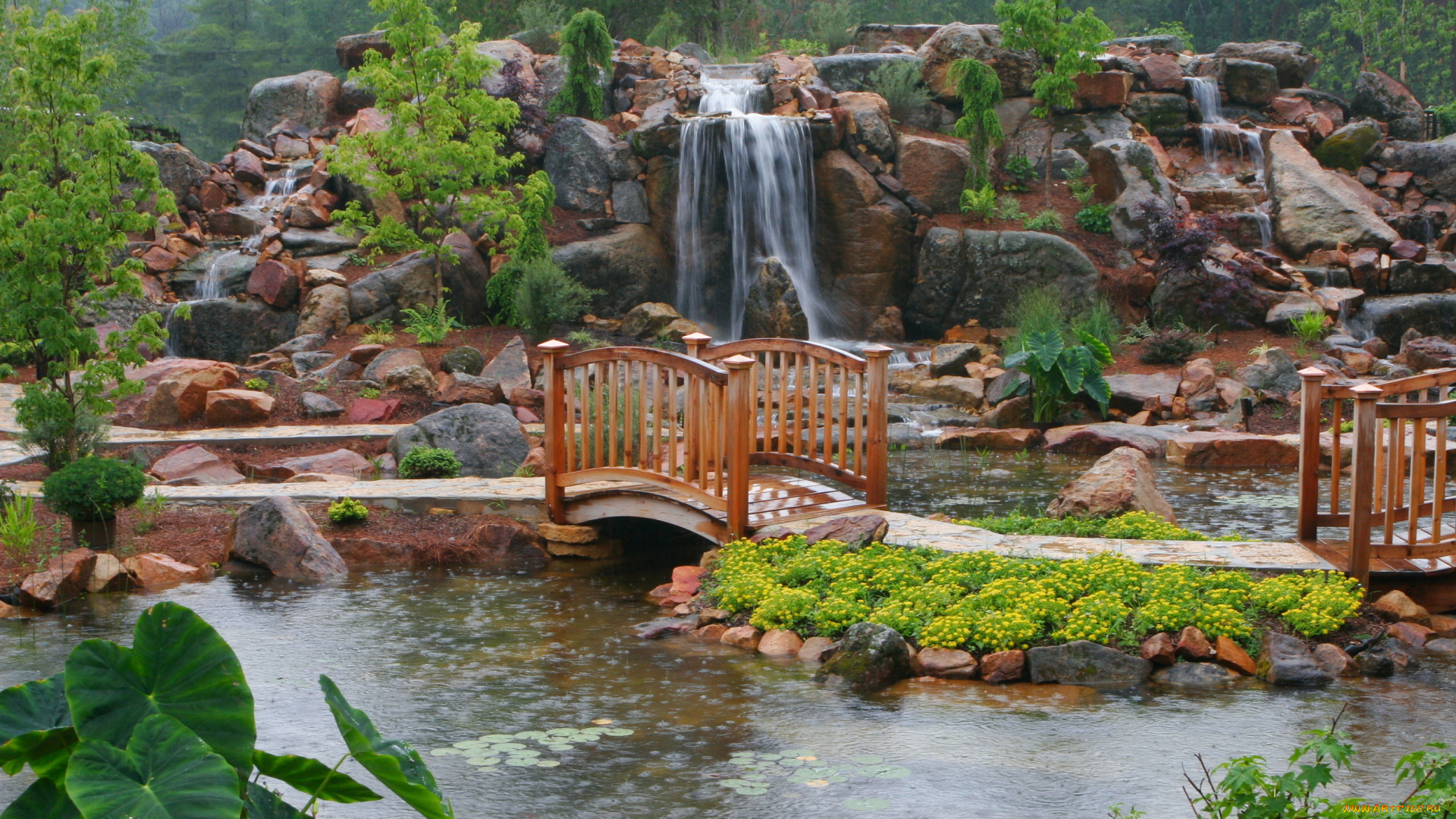 природа, парк, цветы, пруд, кувшинки, мостик, тротуар, водопад, деревья, камни, дождь