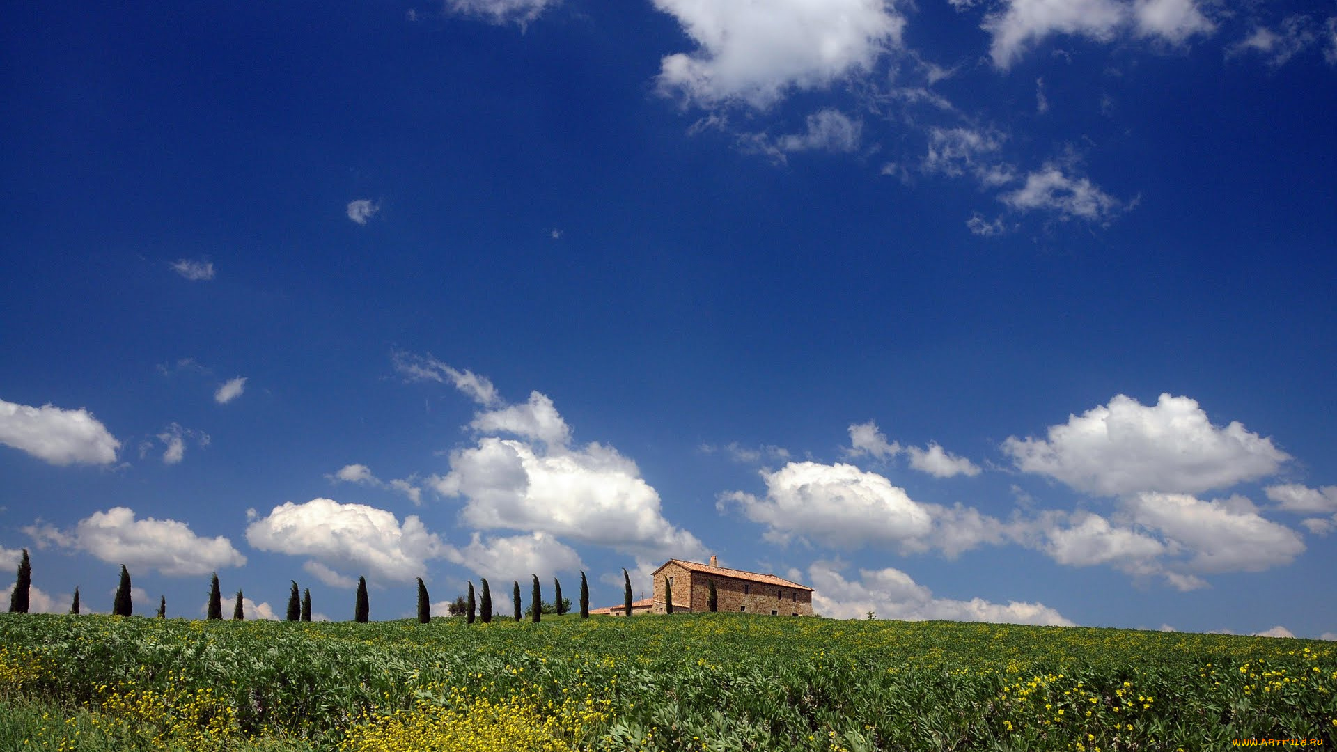 природа, поля, toscana