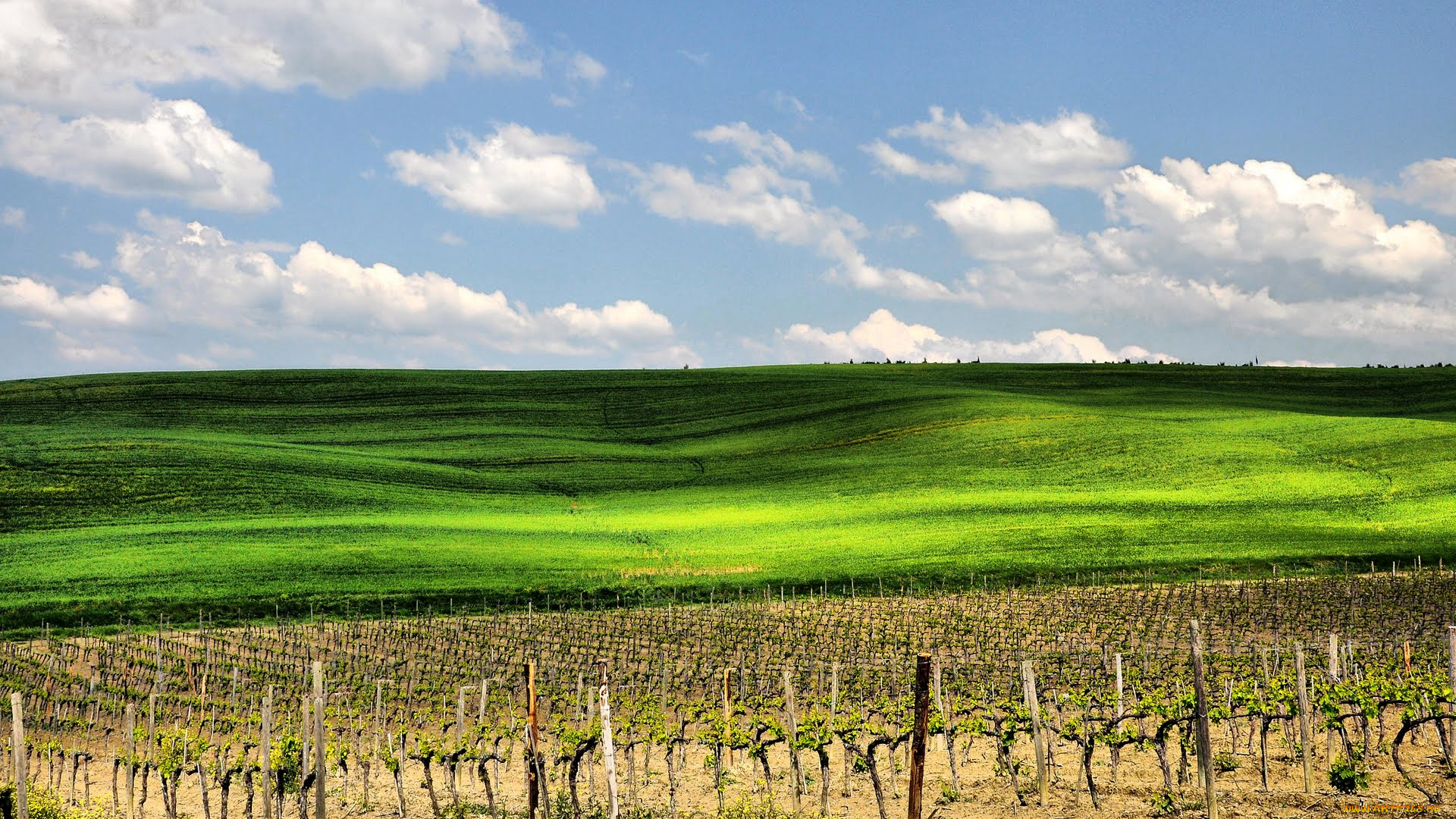 природа, поля, toscana