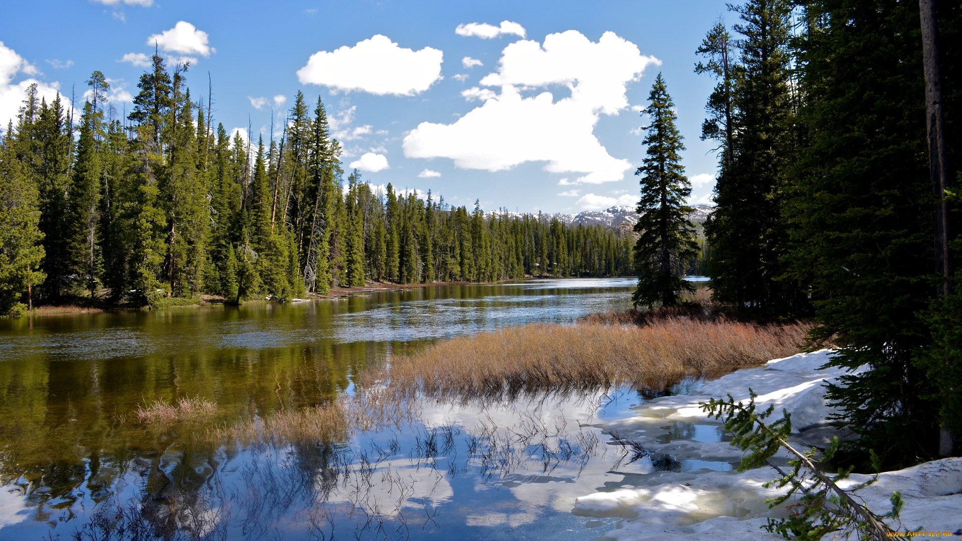 природа, реки, озера, небо, отражение, облака, снег, деревья, лес