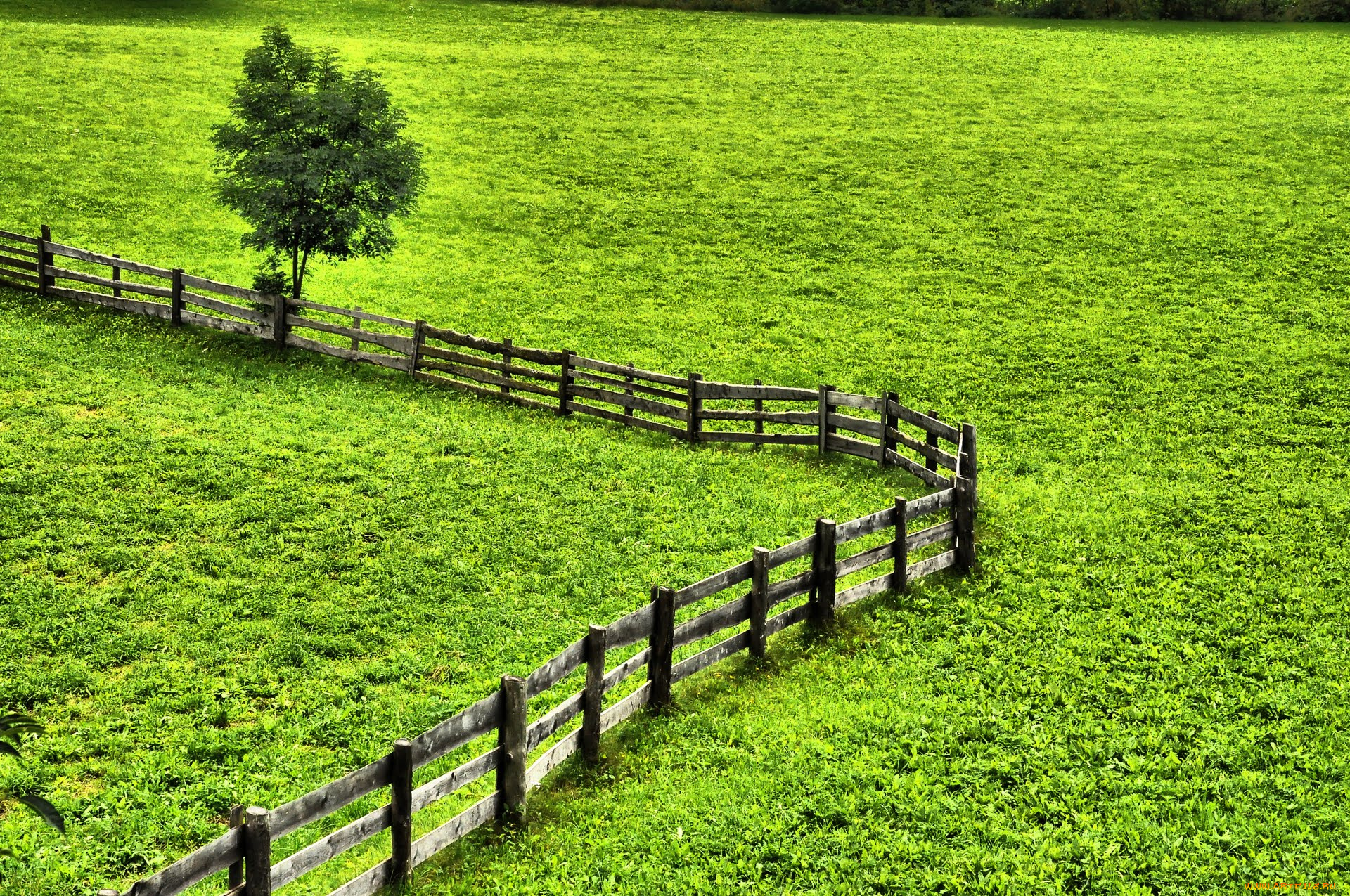 природа, луга, изгородь