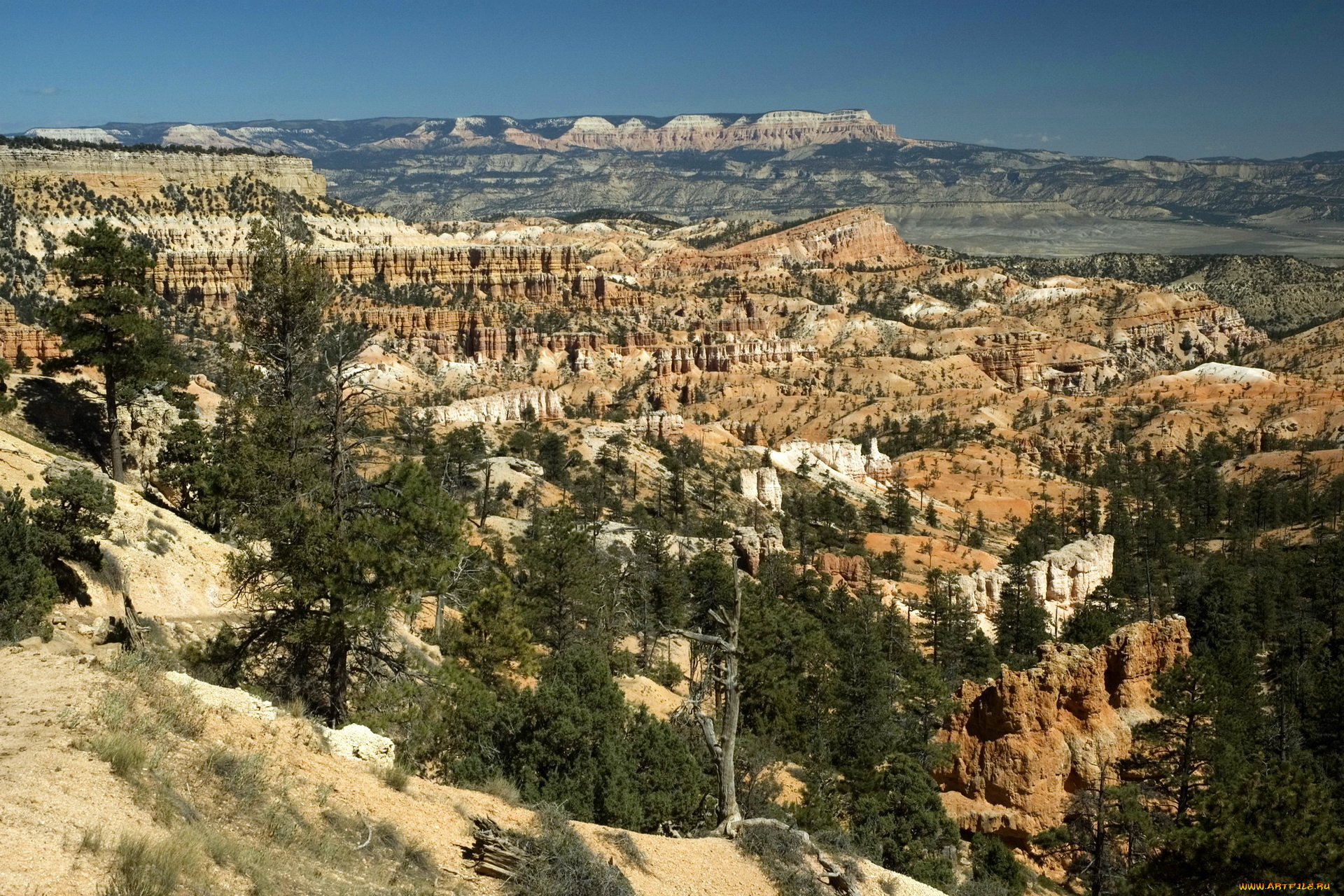 природа, горы, bryce, canyon, national, park, usa, utah