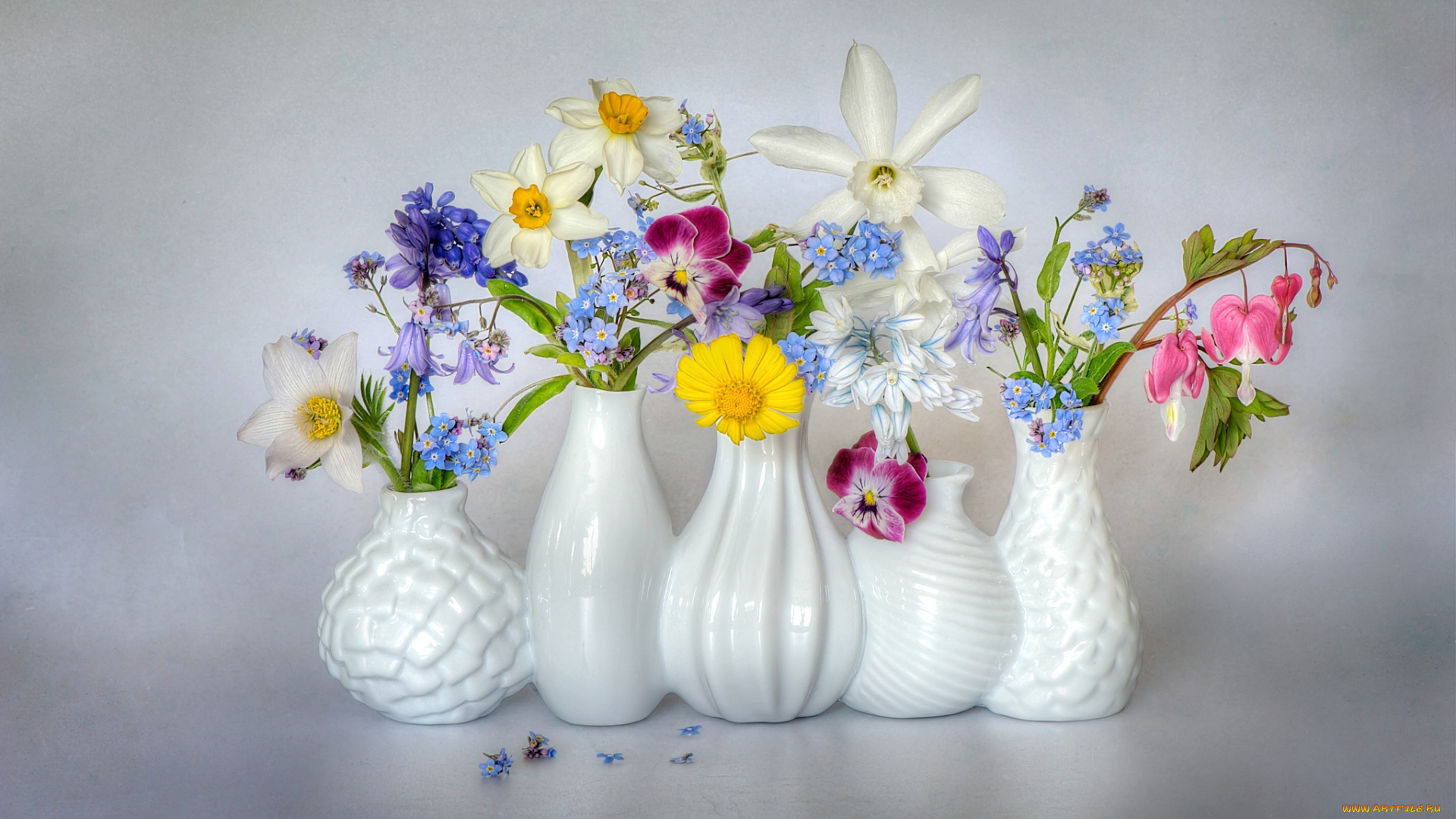 цветы, разные, вместе, нарциссы, незабудки, анемон, дицентра, виола, ваза